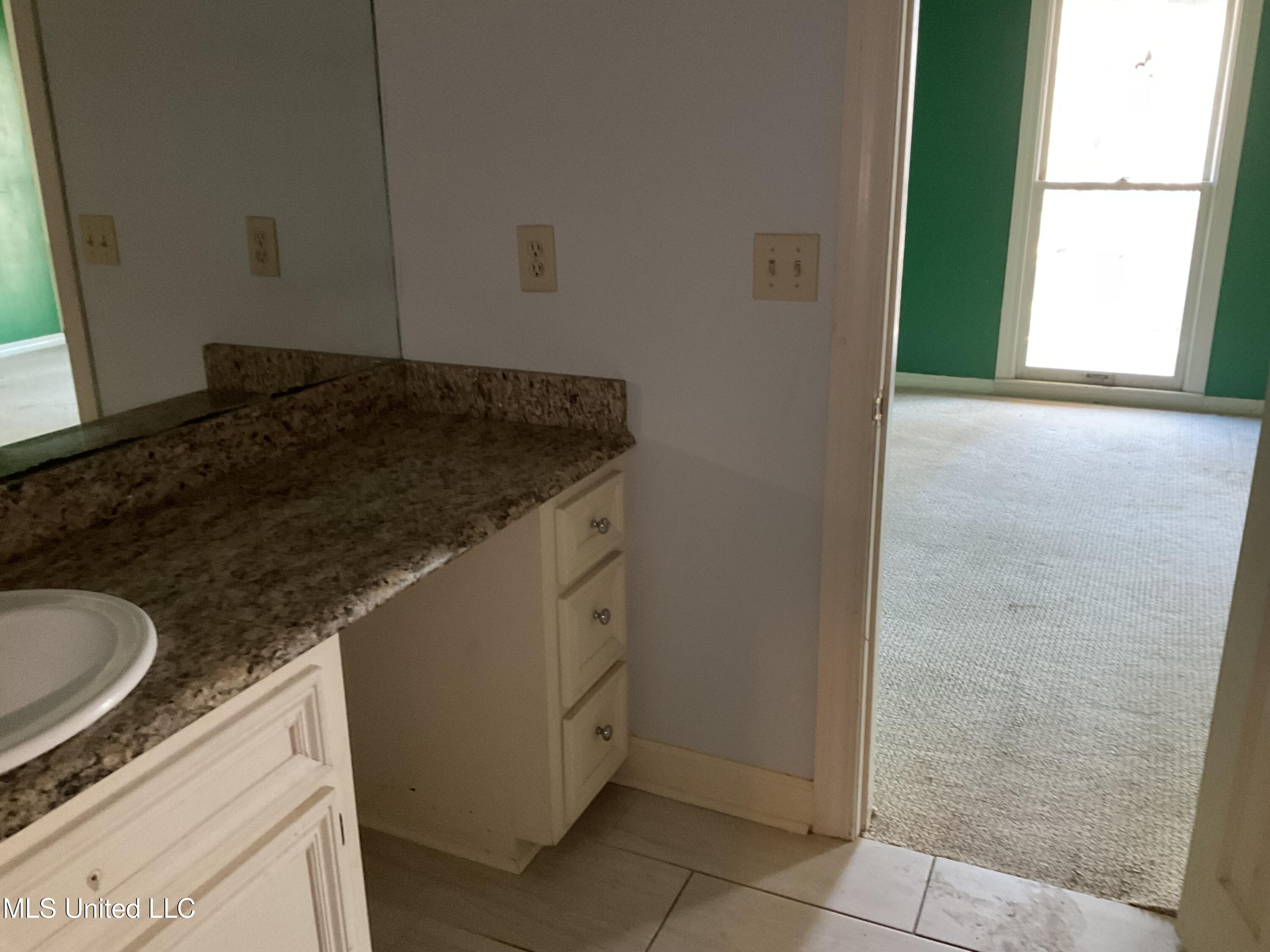 6 Moss Forest Place Property Photo 15