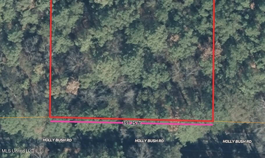 0000 Holly Bush Road Property Photo 6