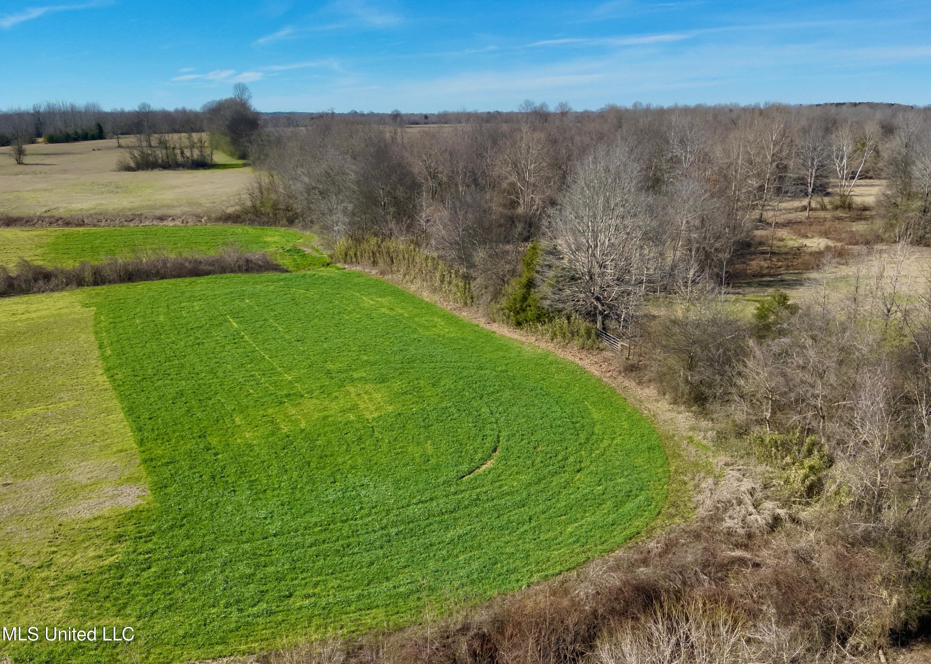 Springhill Road Property Photo 3