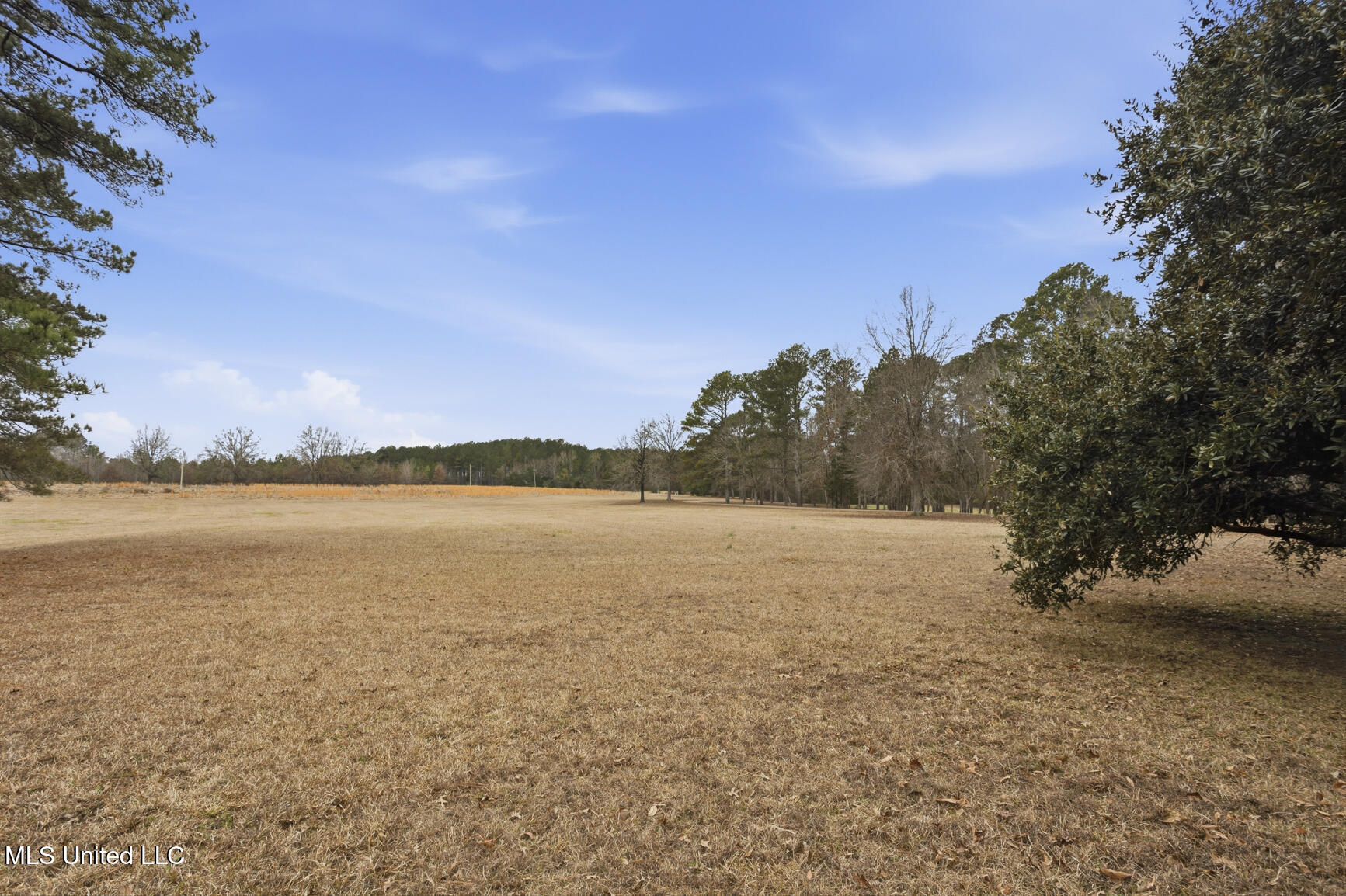 288 Morgan Road Property Photo 57