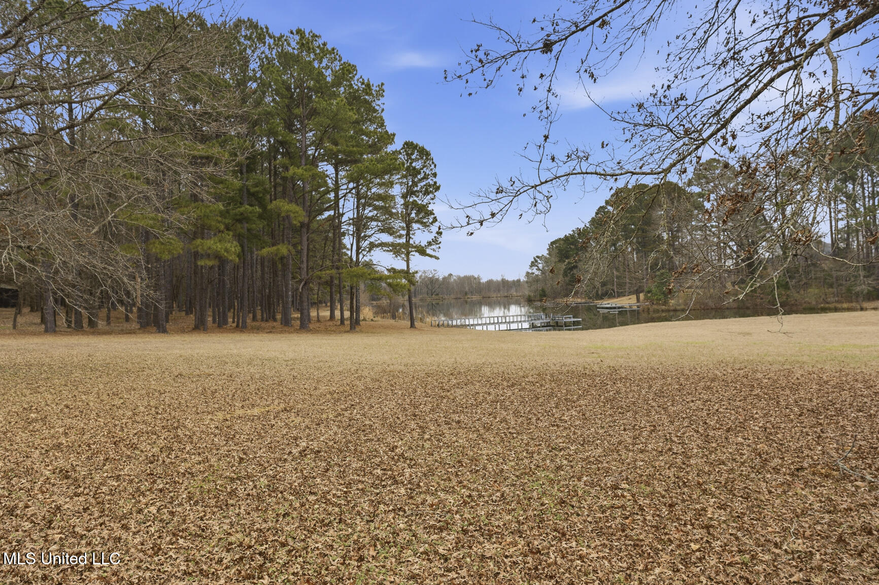 288 Morgan Road Property Photo 59