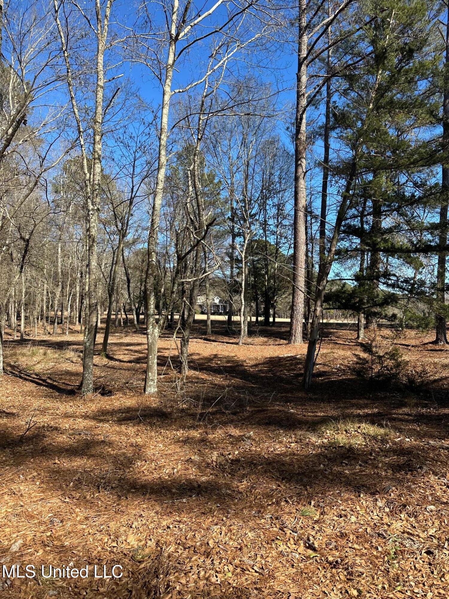 288 Morgan Road Property Photo 68