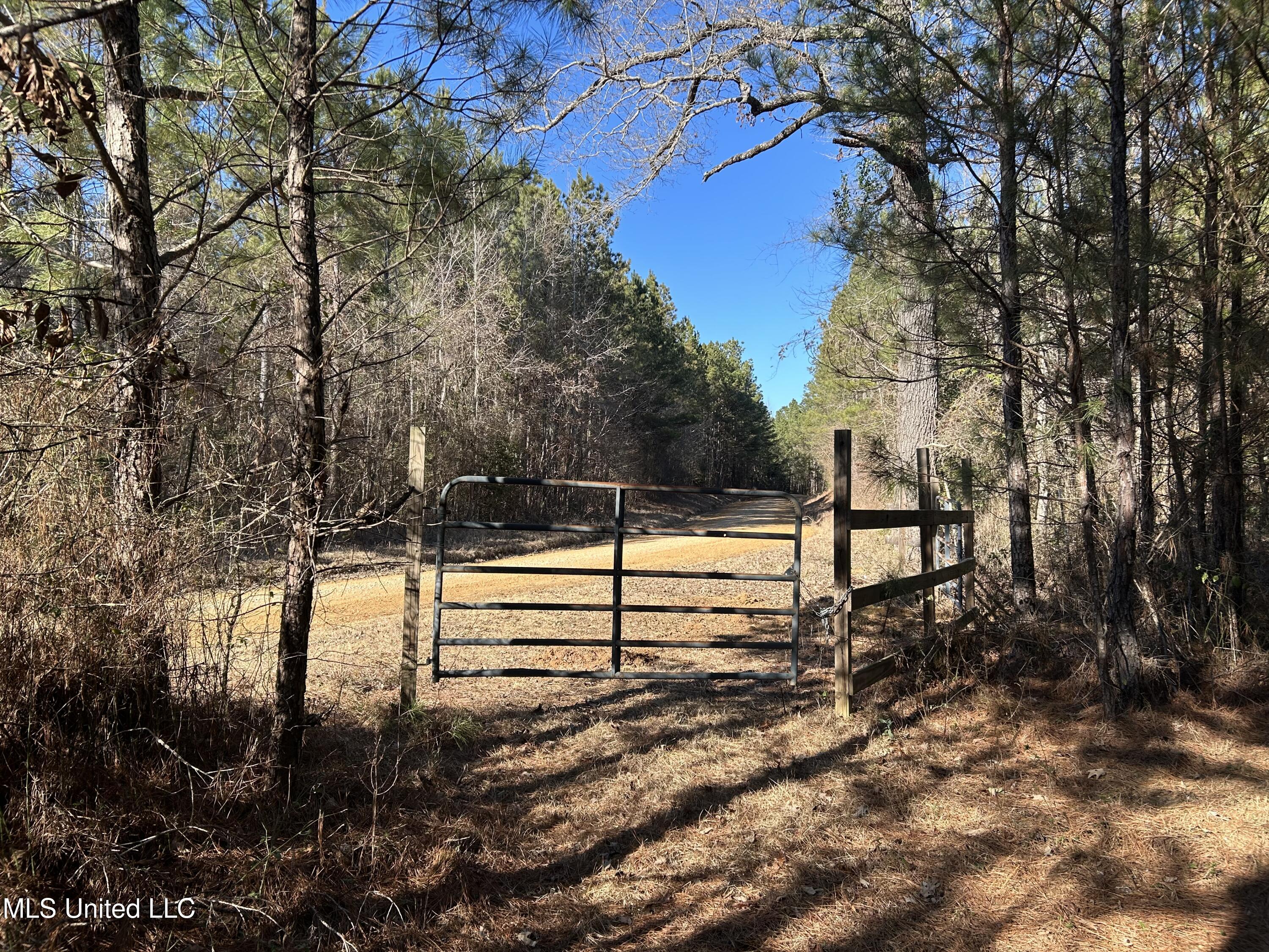 307 Willis Road Property Photo 2