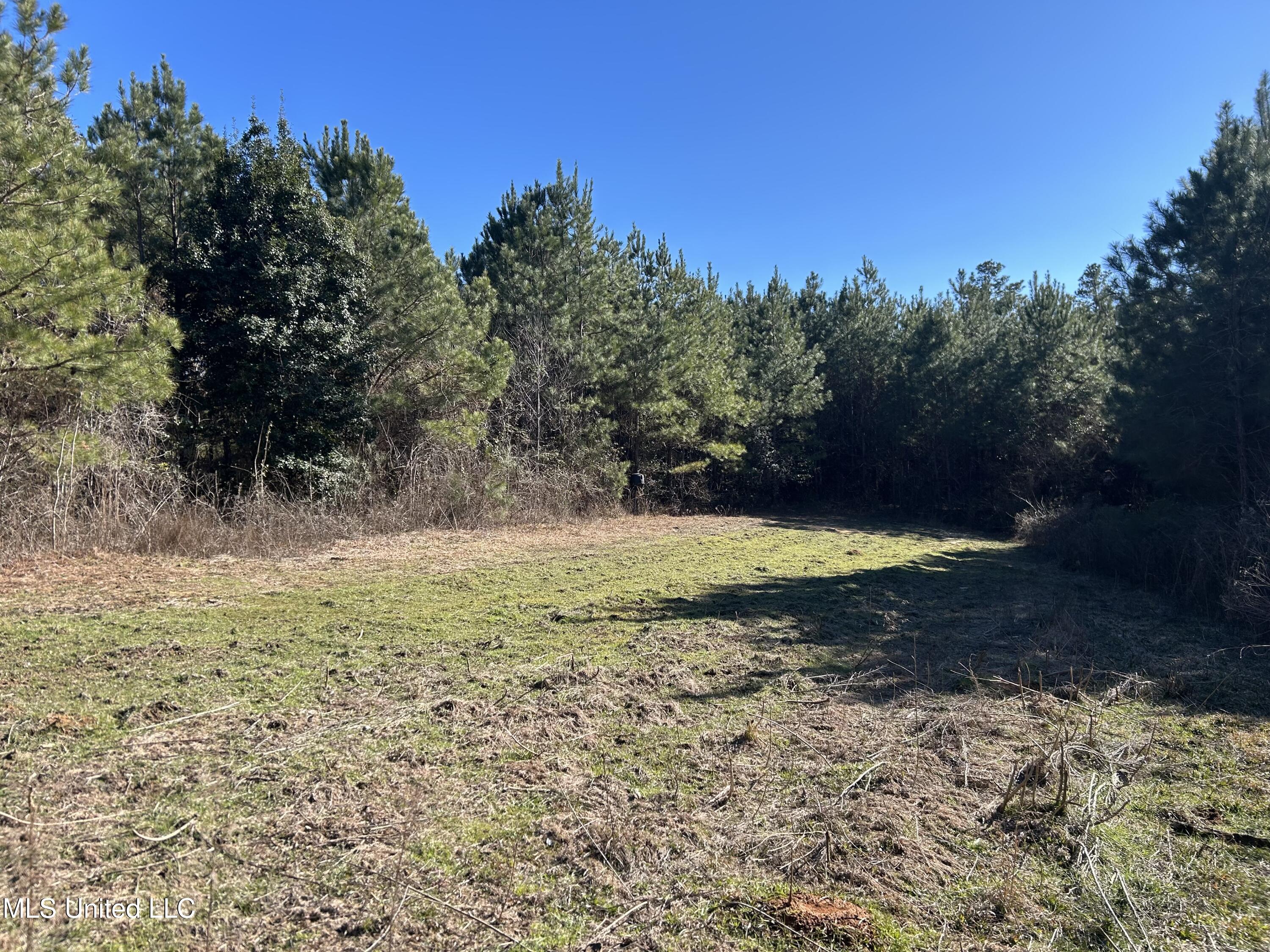 307 Willis Road Property Photo 3