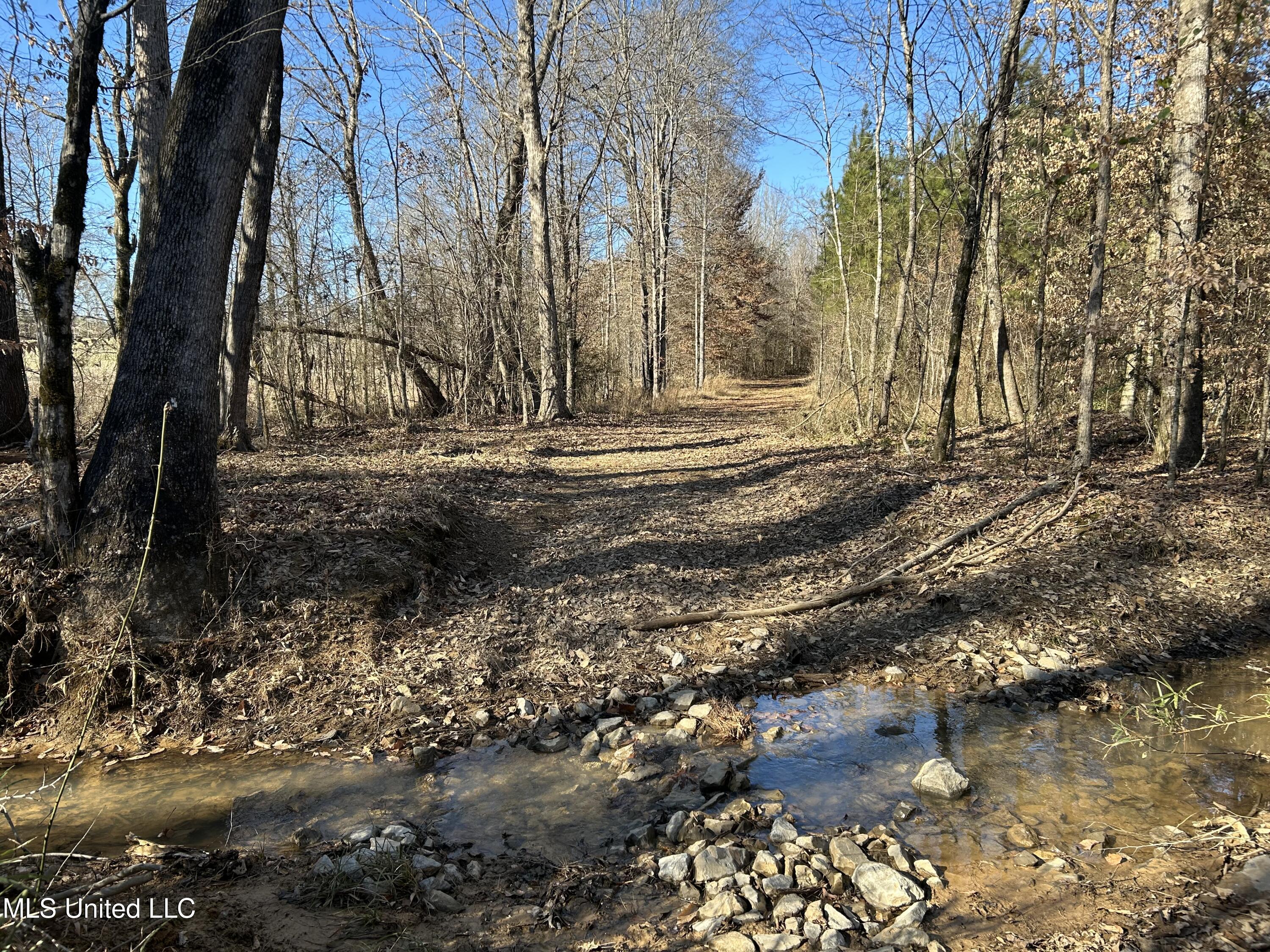 307 Willis Road Property Photo 5