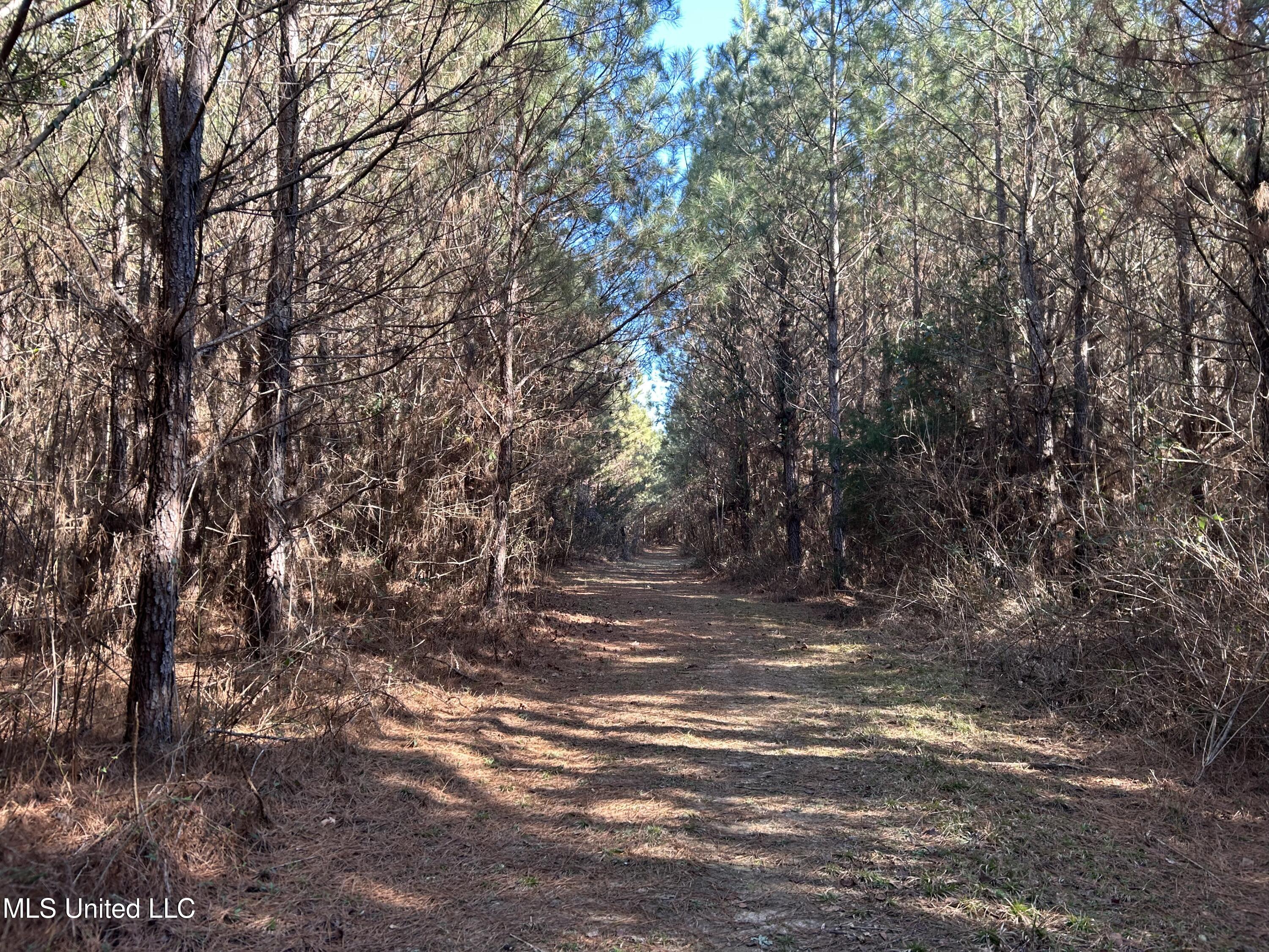 307 Willis Road Property Photo 15