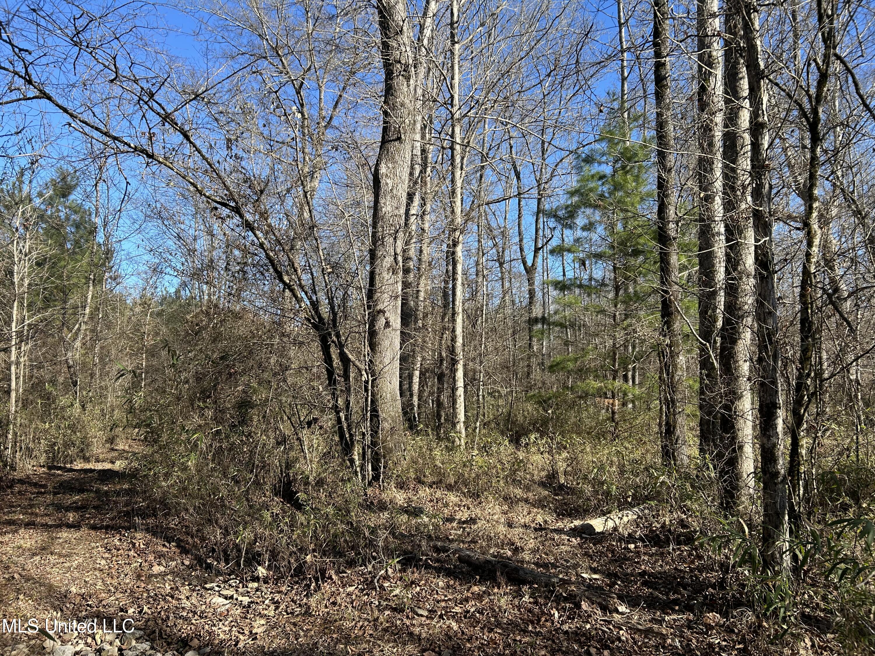 307 Willis Road Property Photo 16