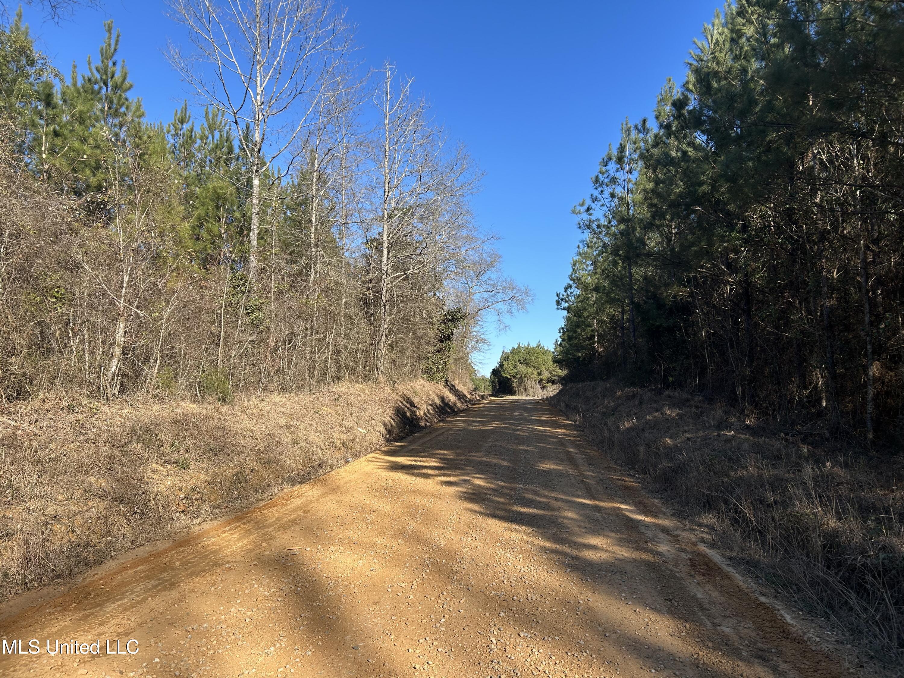 307 Willis Road Property Photo 17