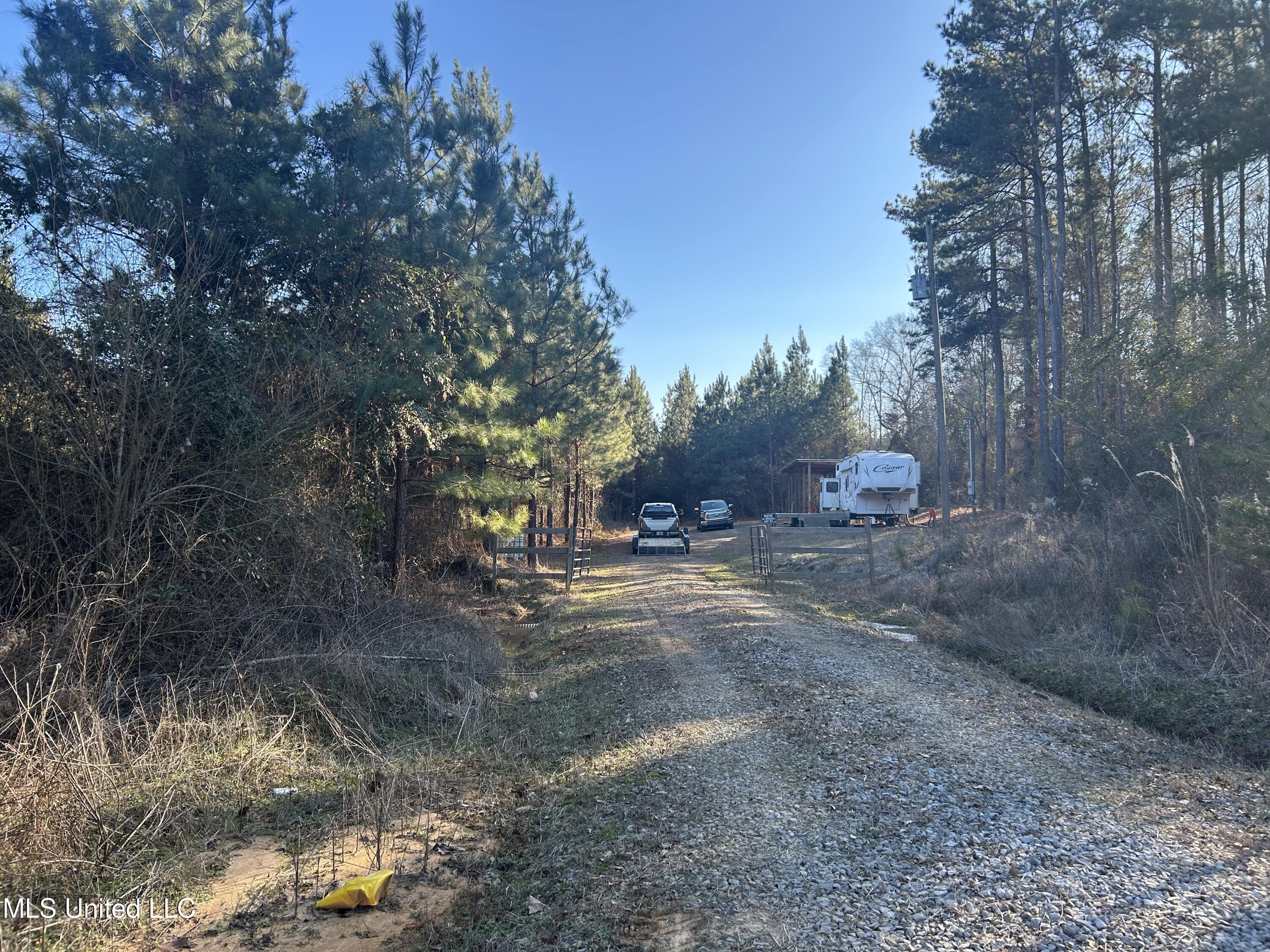 307 Willis Road Property Photo 18