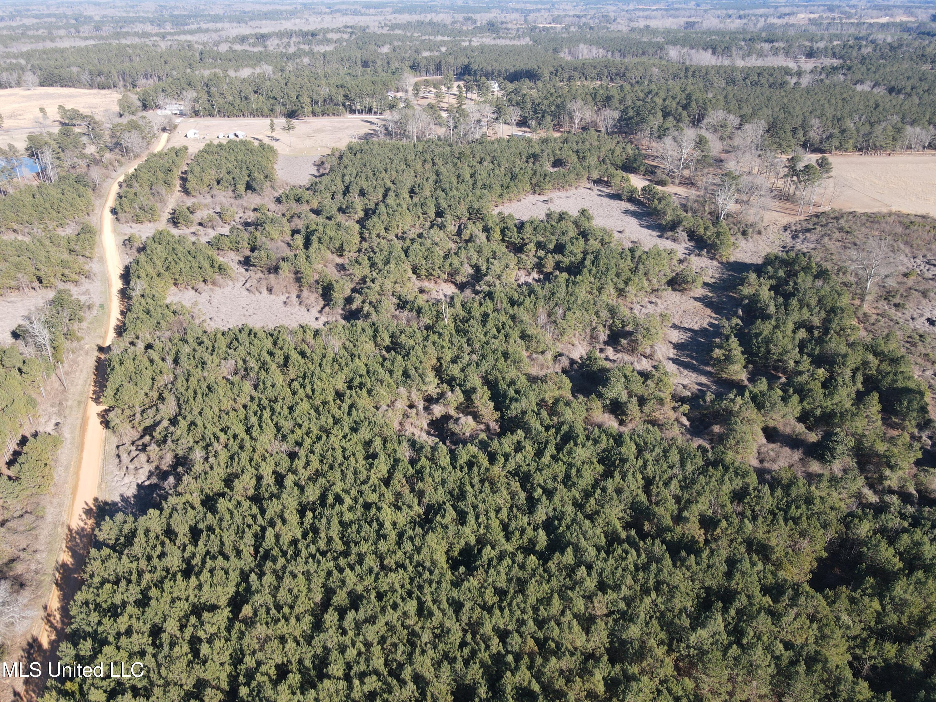 307 Willis Road Property Photo 19