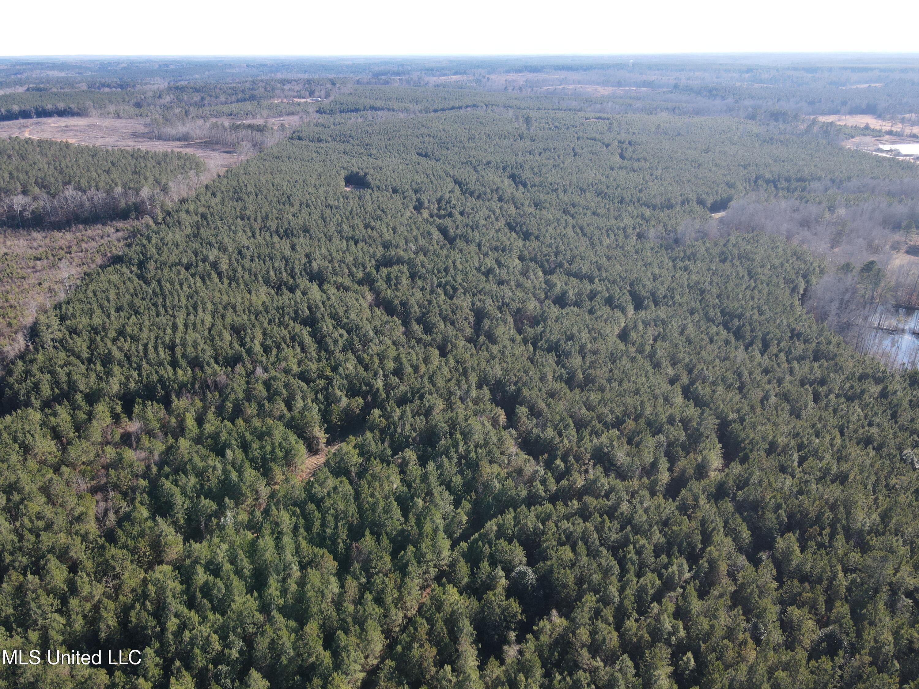 307 Willis Road Property Photo 20