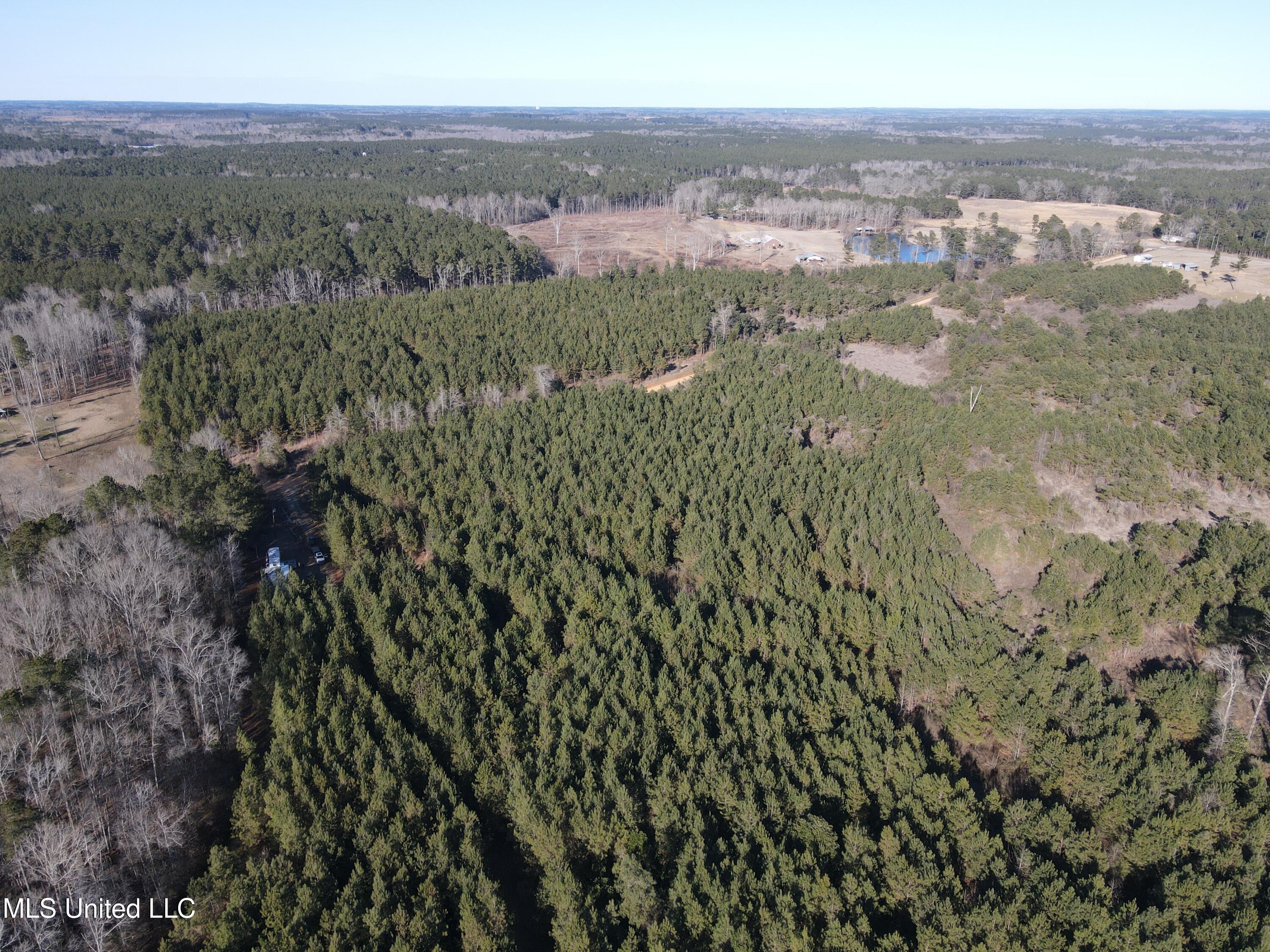 307 Willis Road Property Photo 24