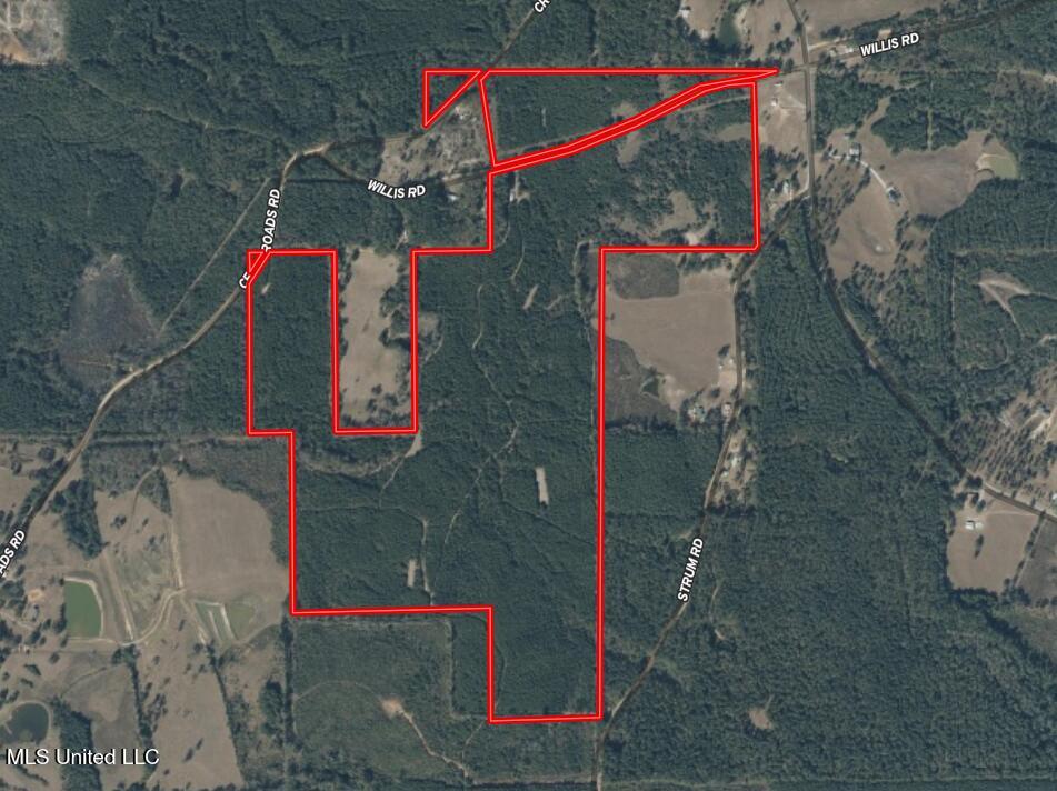 307 Willis Road Property Photo 37