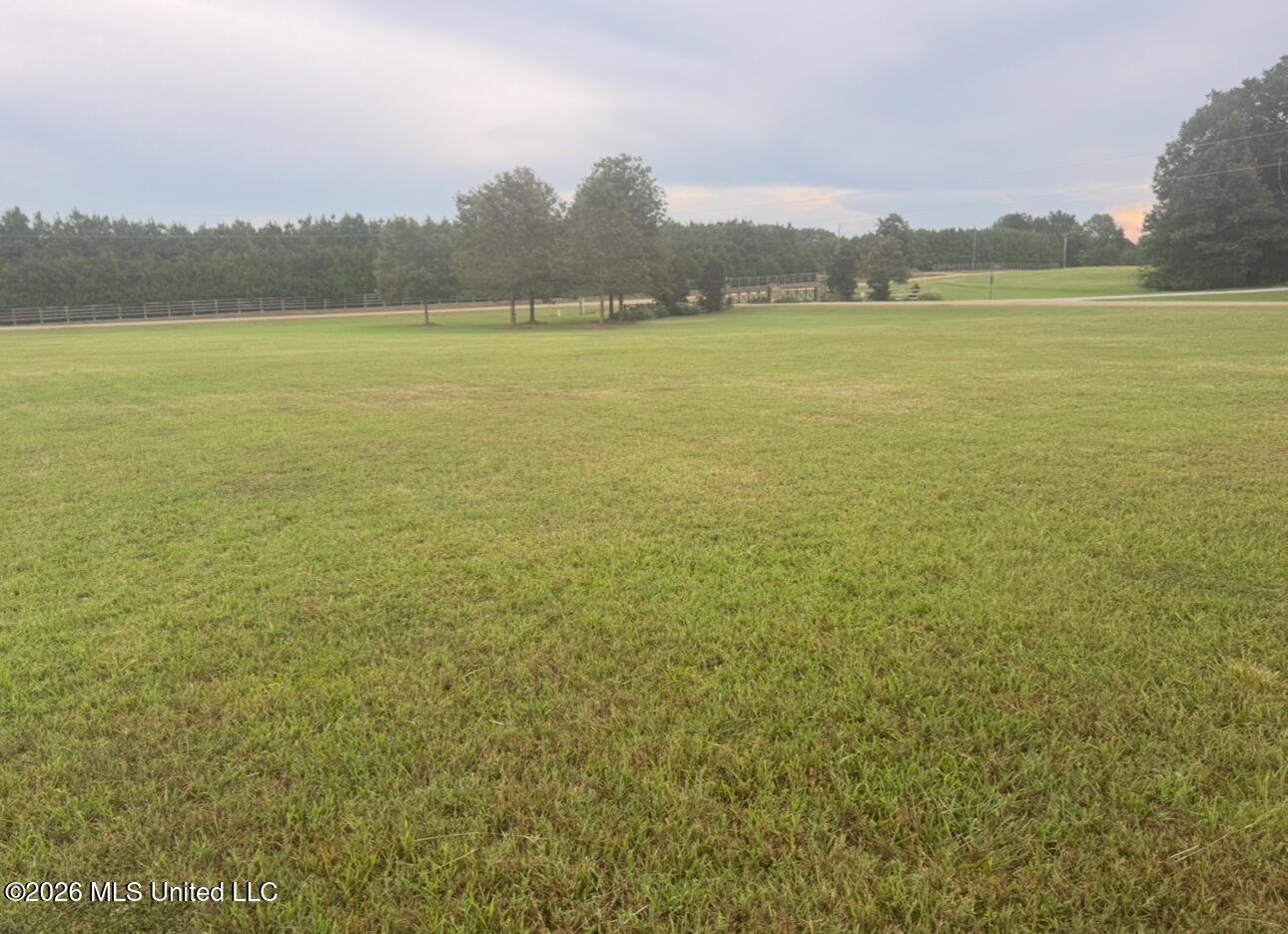 104 Two Lakes Drive Property Photo 66