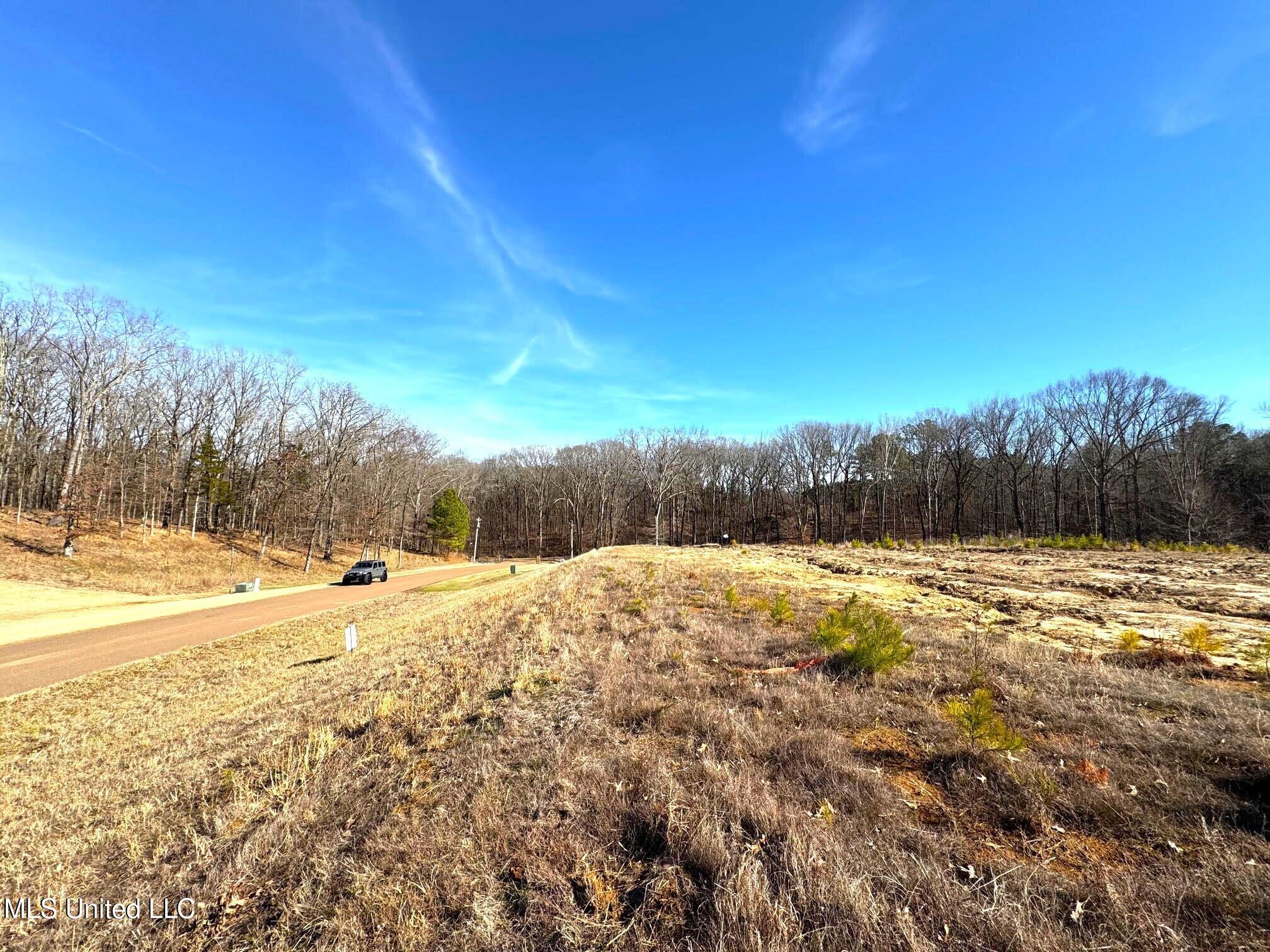 2939 Cyrene Drive Property Photo 4