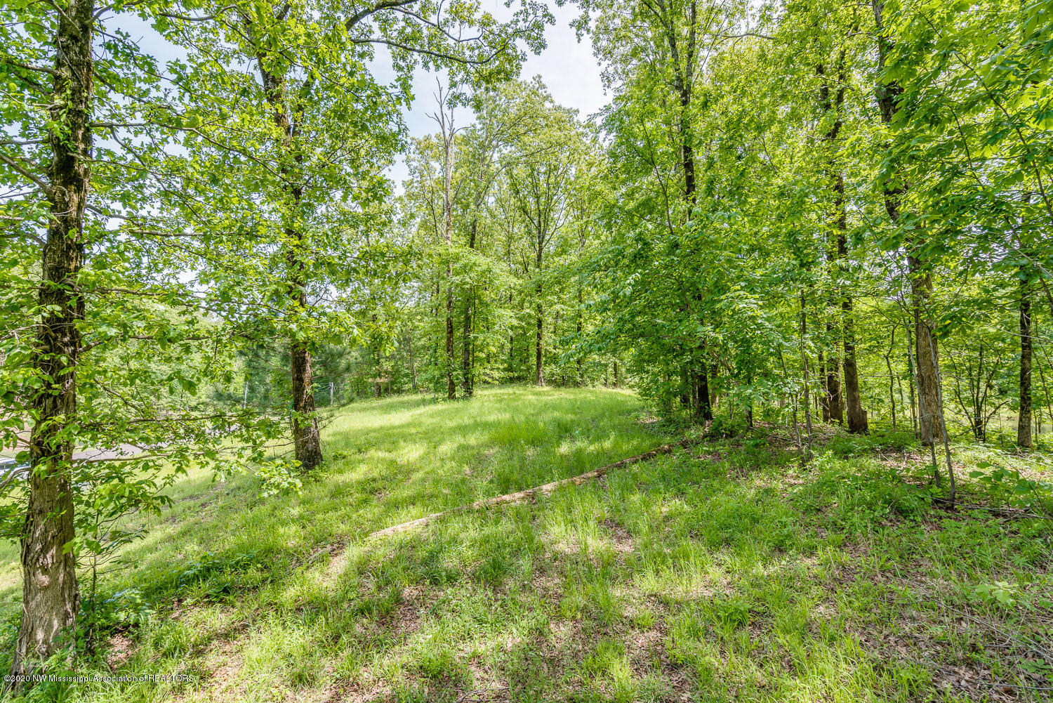 2939 Cyrene Drive Property Photo 14