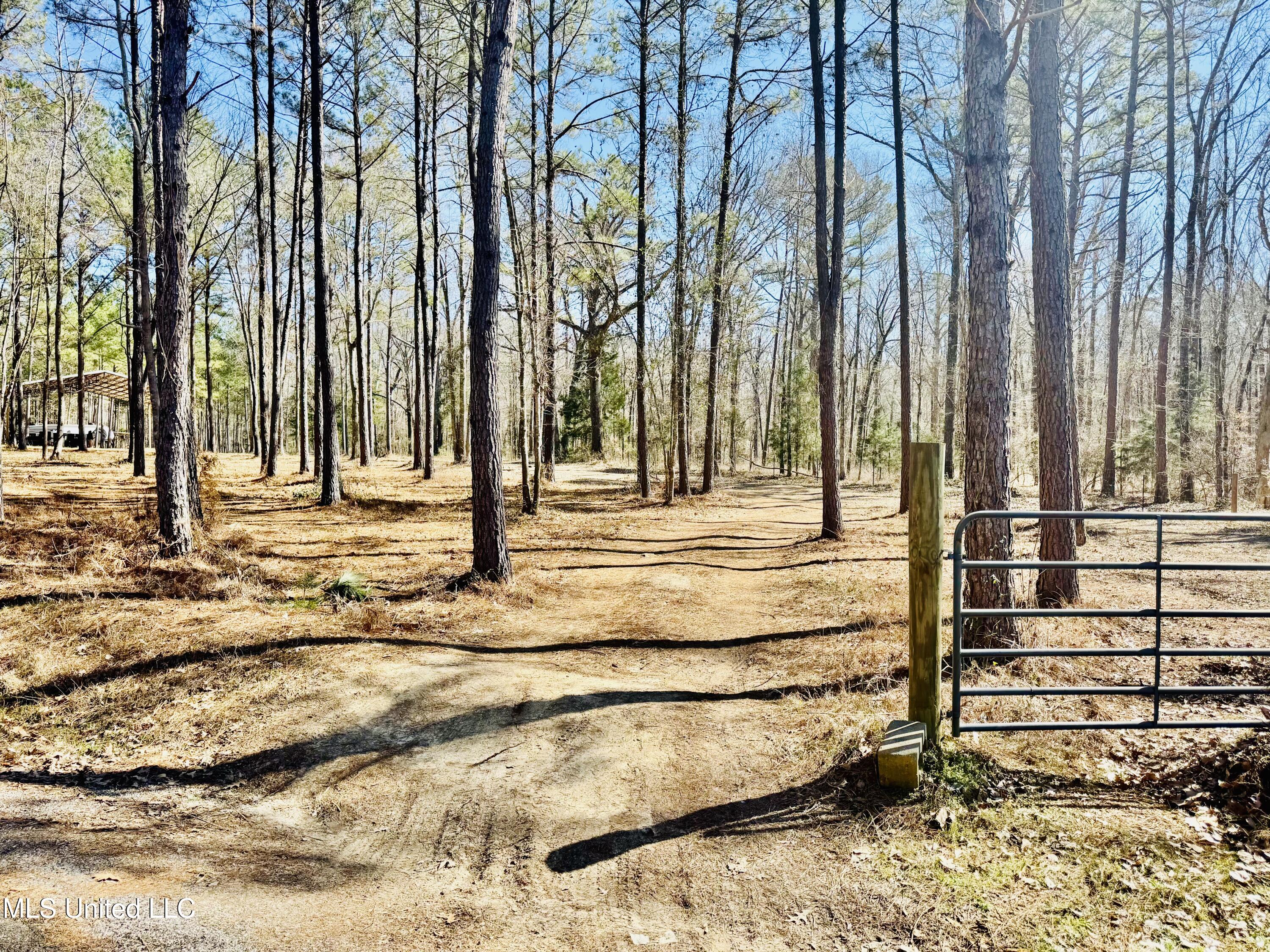 104 Mamie Mangum Road Property Photo 3