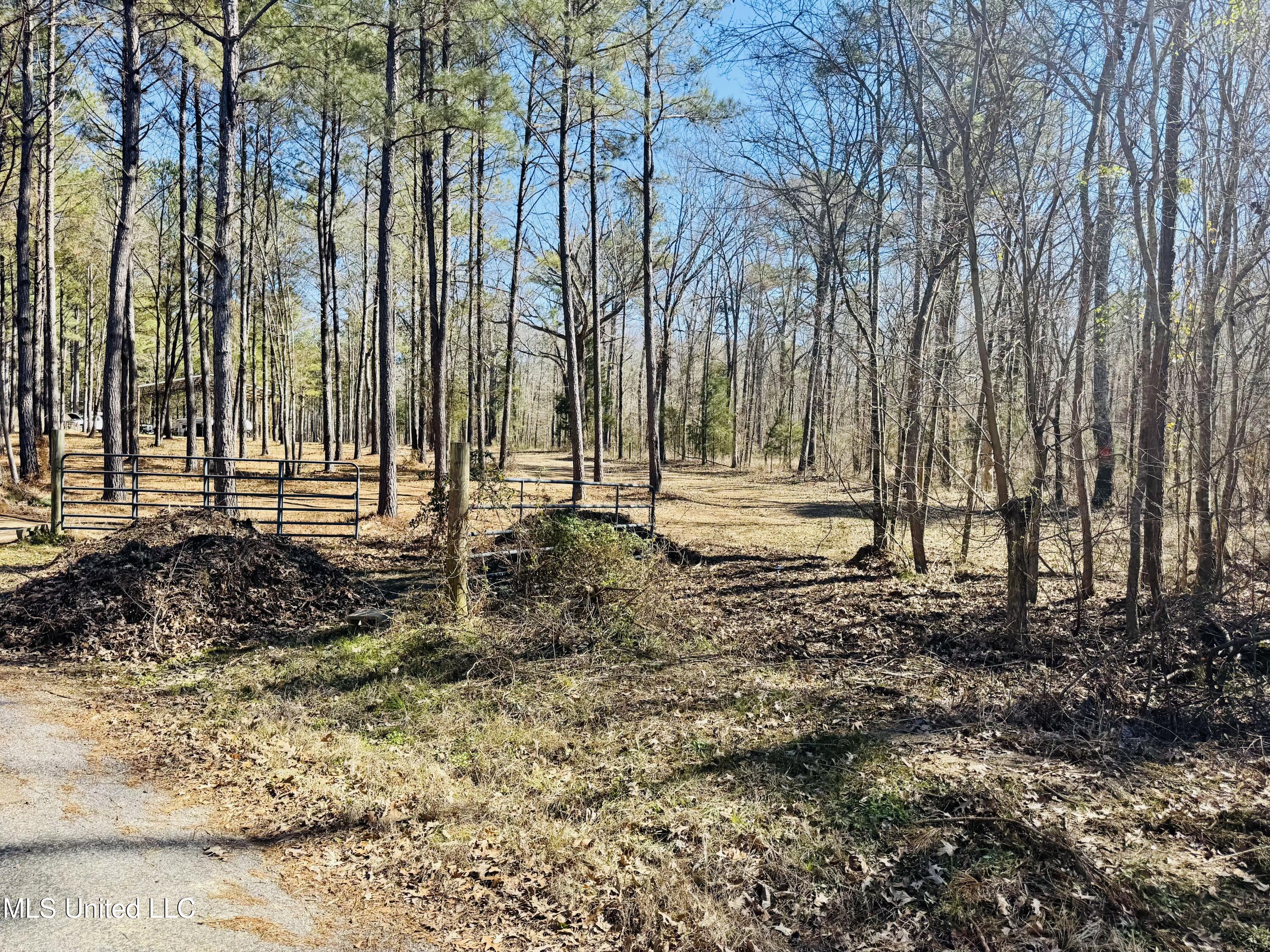 104 Mamie Mangum Road Property Photo 4