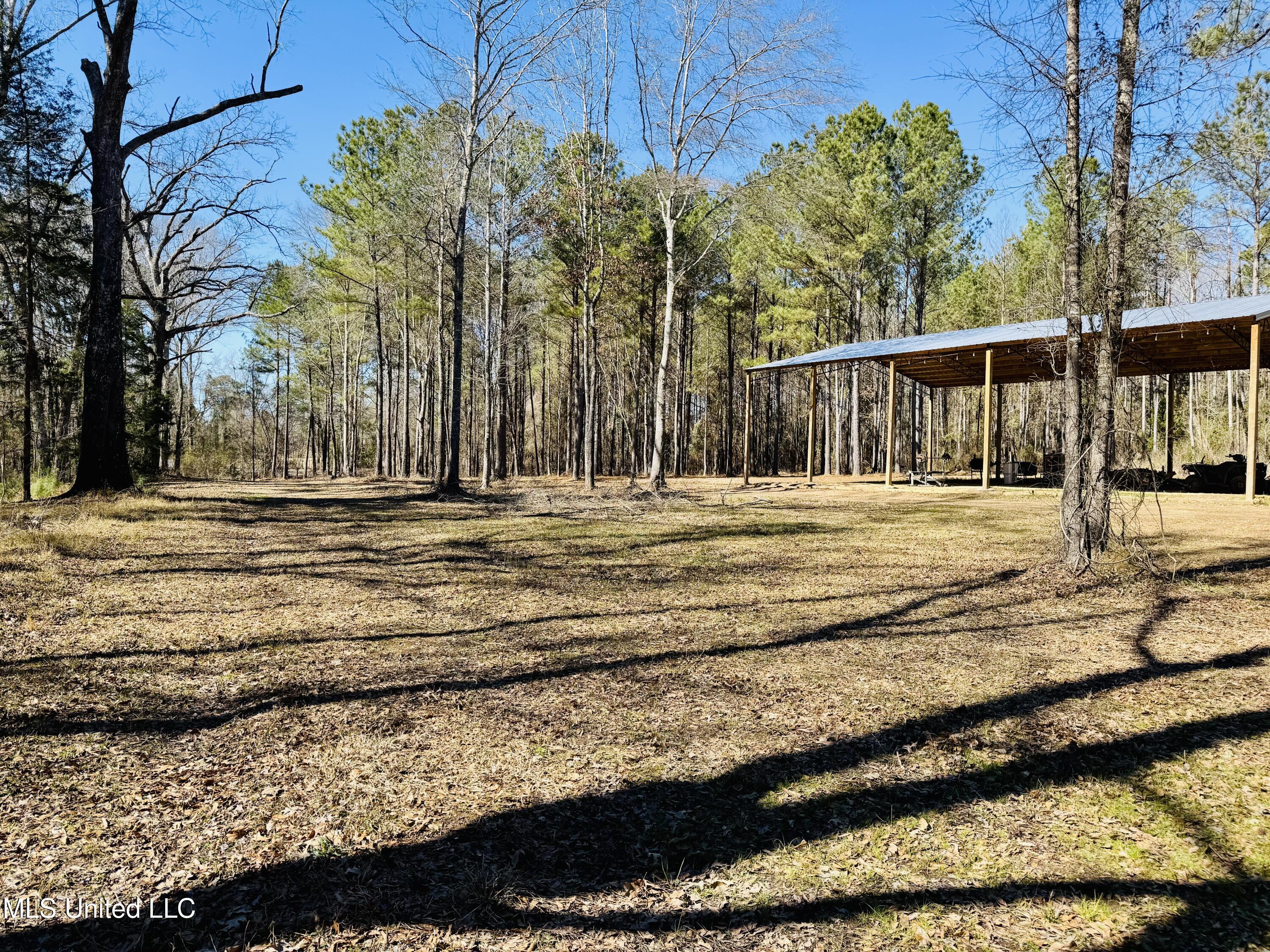 104 Mamie Mangum Road Property Photo 10