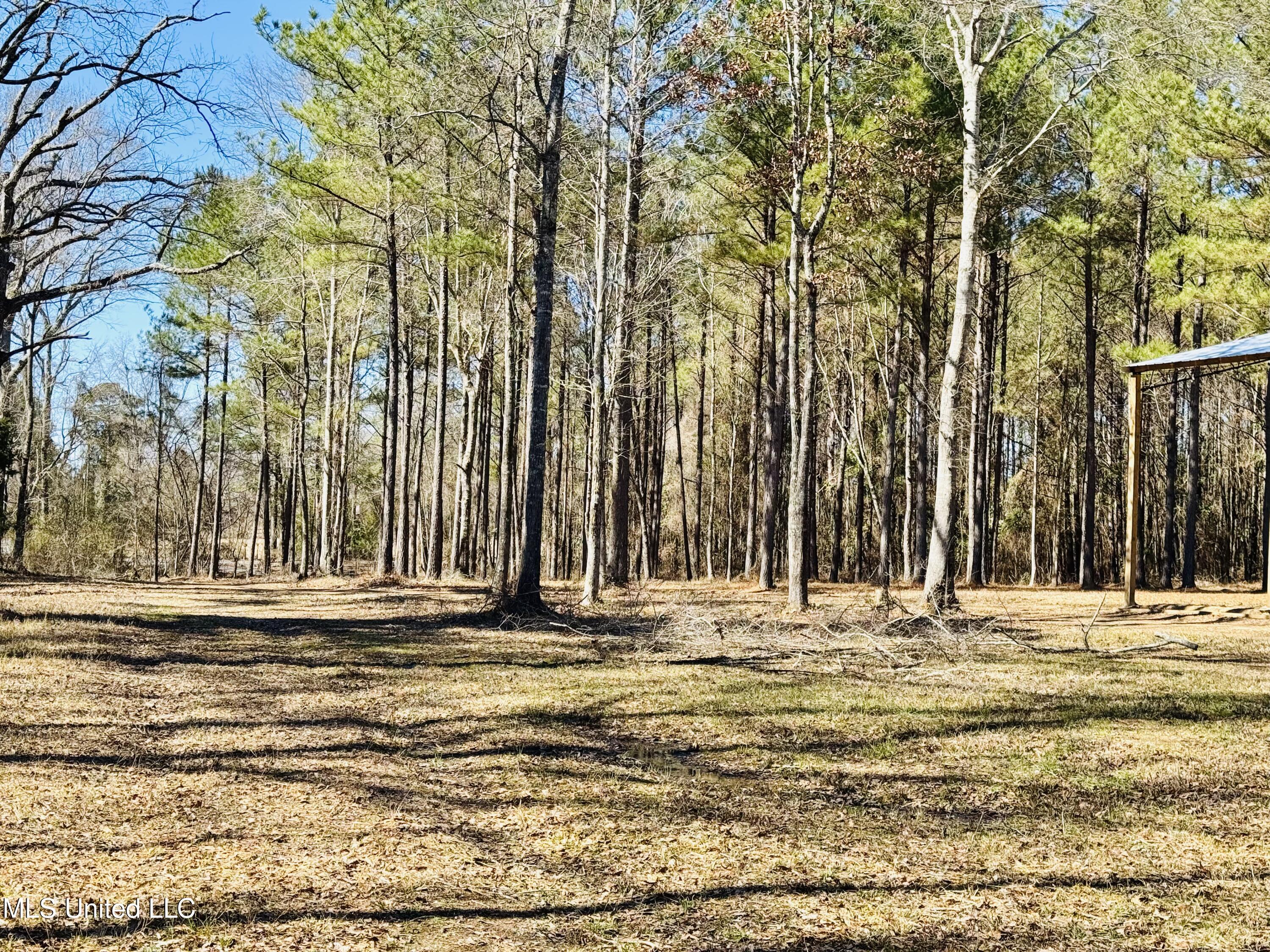104 Mamie Mangum Road Property Photo 11