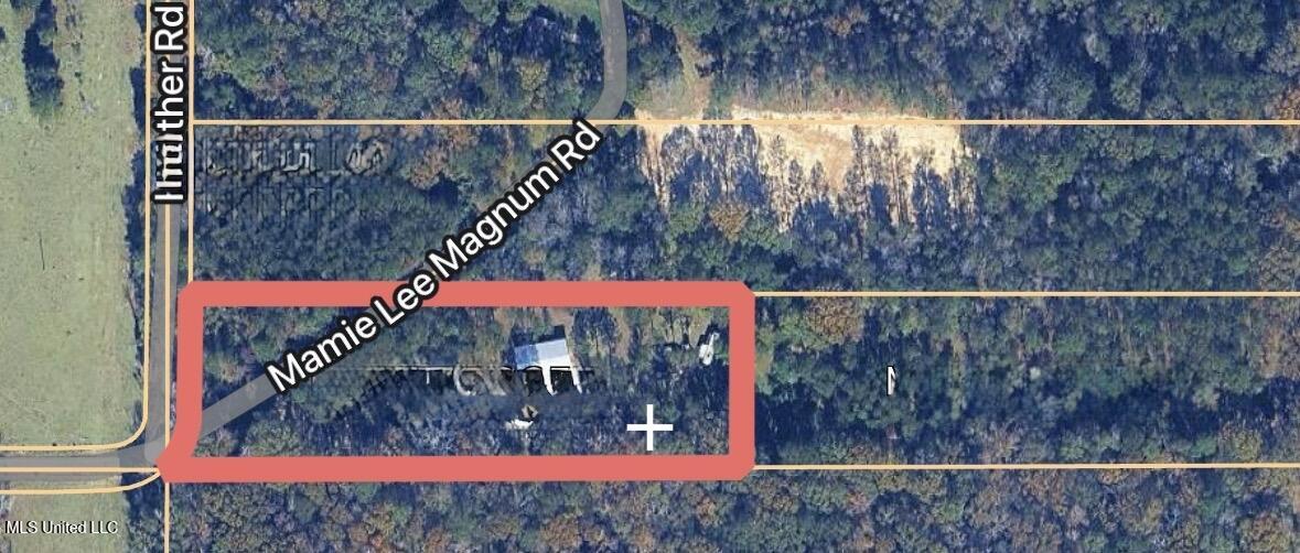 104 Mamie Mangum Road Property Photo 13