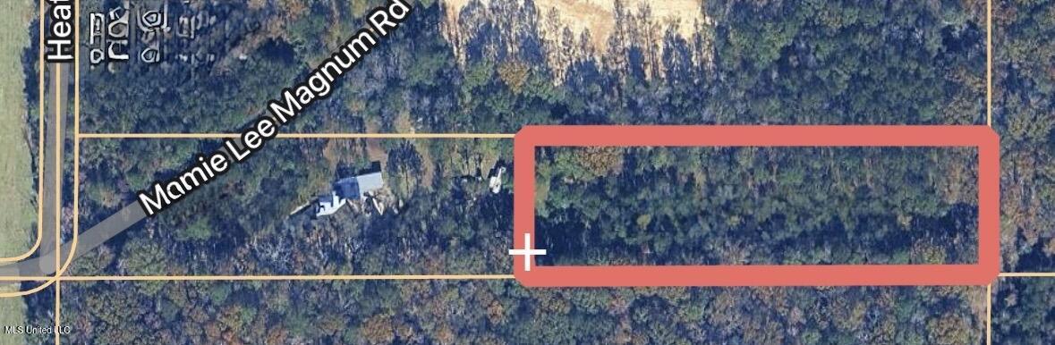 104 Mamie Mangum Road Property Photo 14