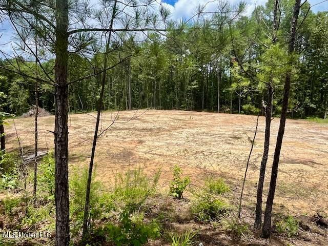 278 Poplar Springs Road Property Photo 1