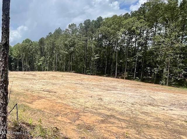 278 Poplar Springs Road Property Photo 4