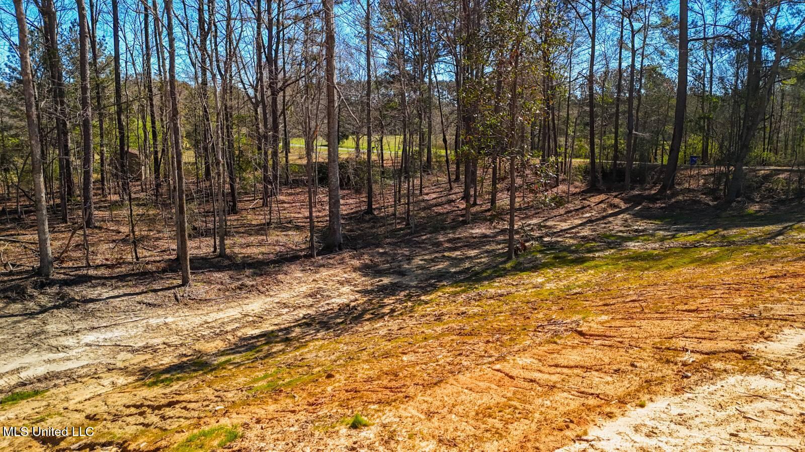 278 Poplar Springs Road Property Photo 5
