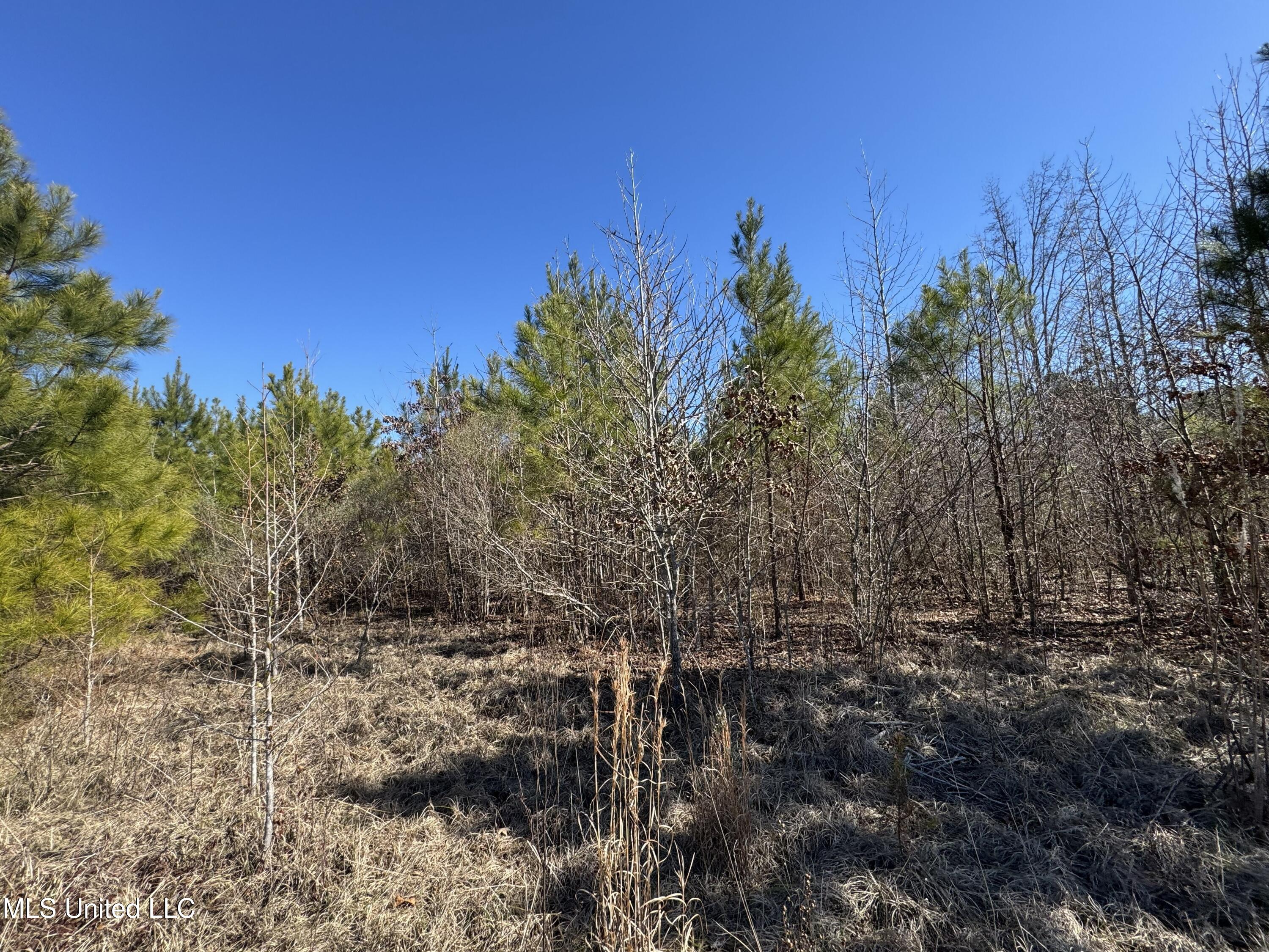 9182 Highway 397 Property Photo 84