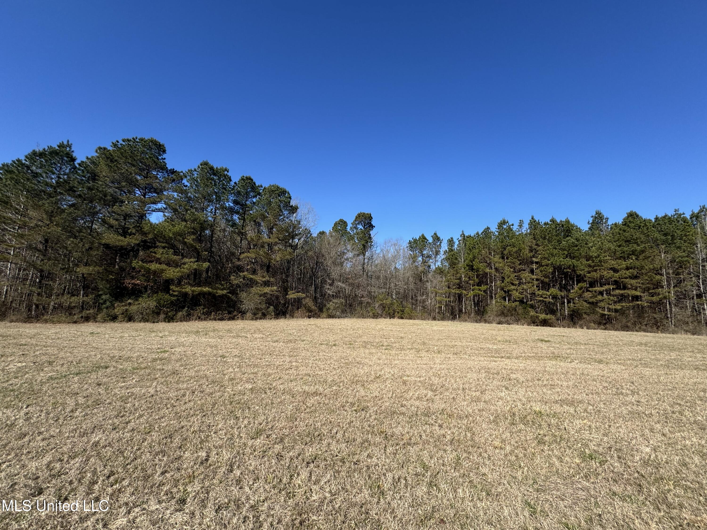 9182 Highway 397 Property Photo 90