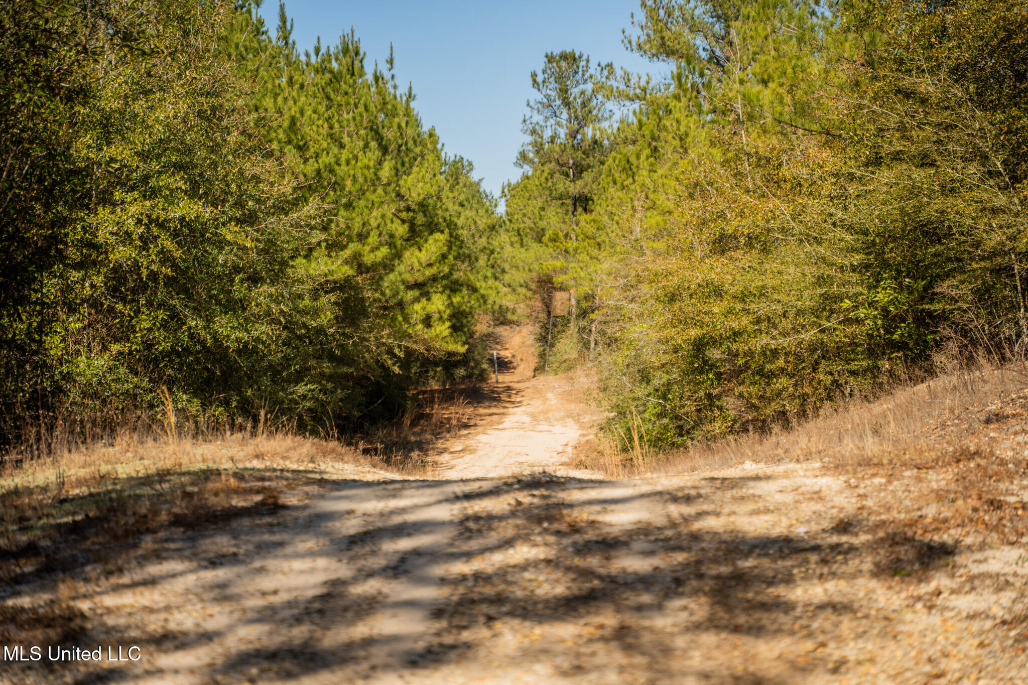 Foster Mcconnell Road Property Photo 10