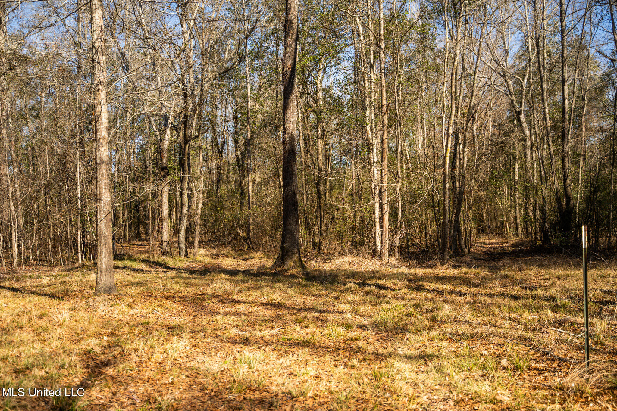 Foster Mcconnell Road Property Photo 12