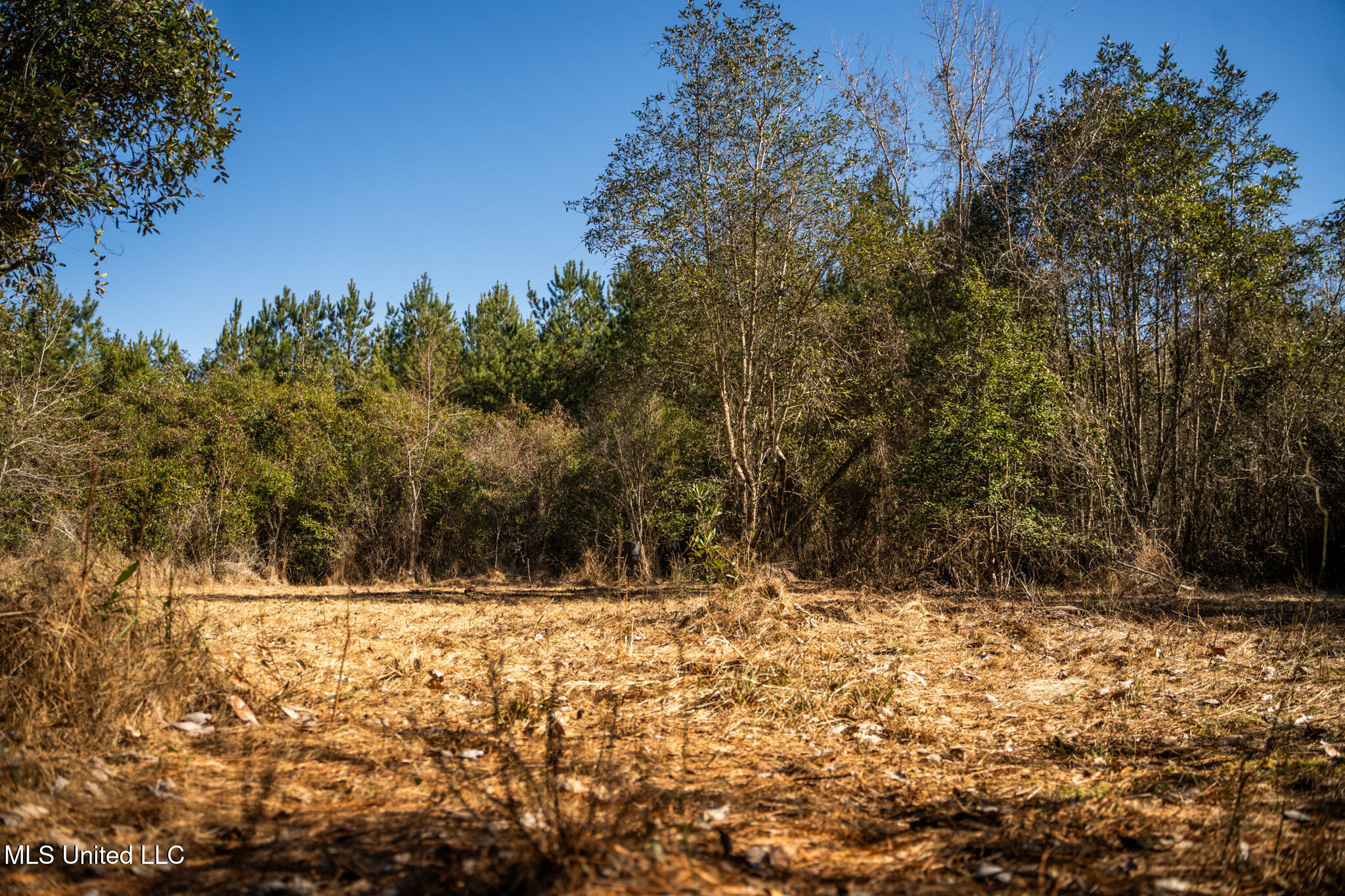 Foster Mcconnell Road Property Photo 18