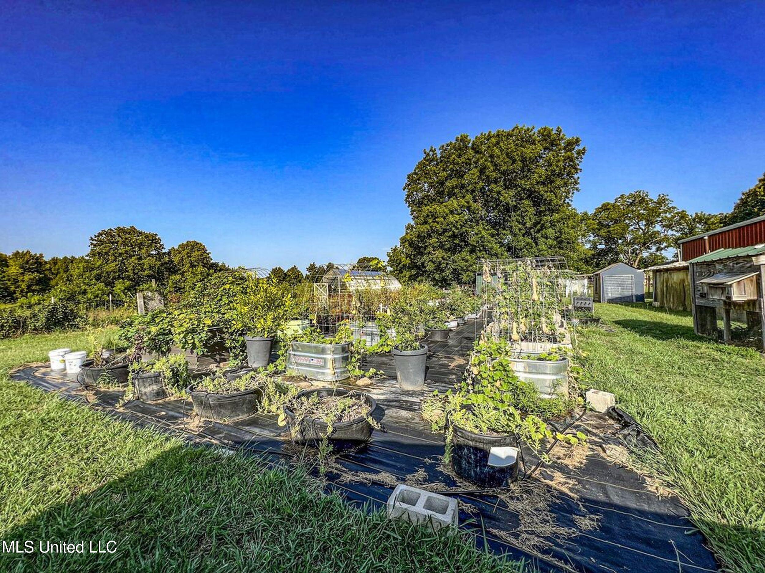 14912b 35 Highway Property Photo 40