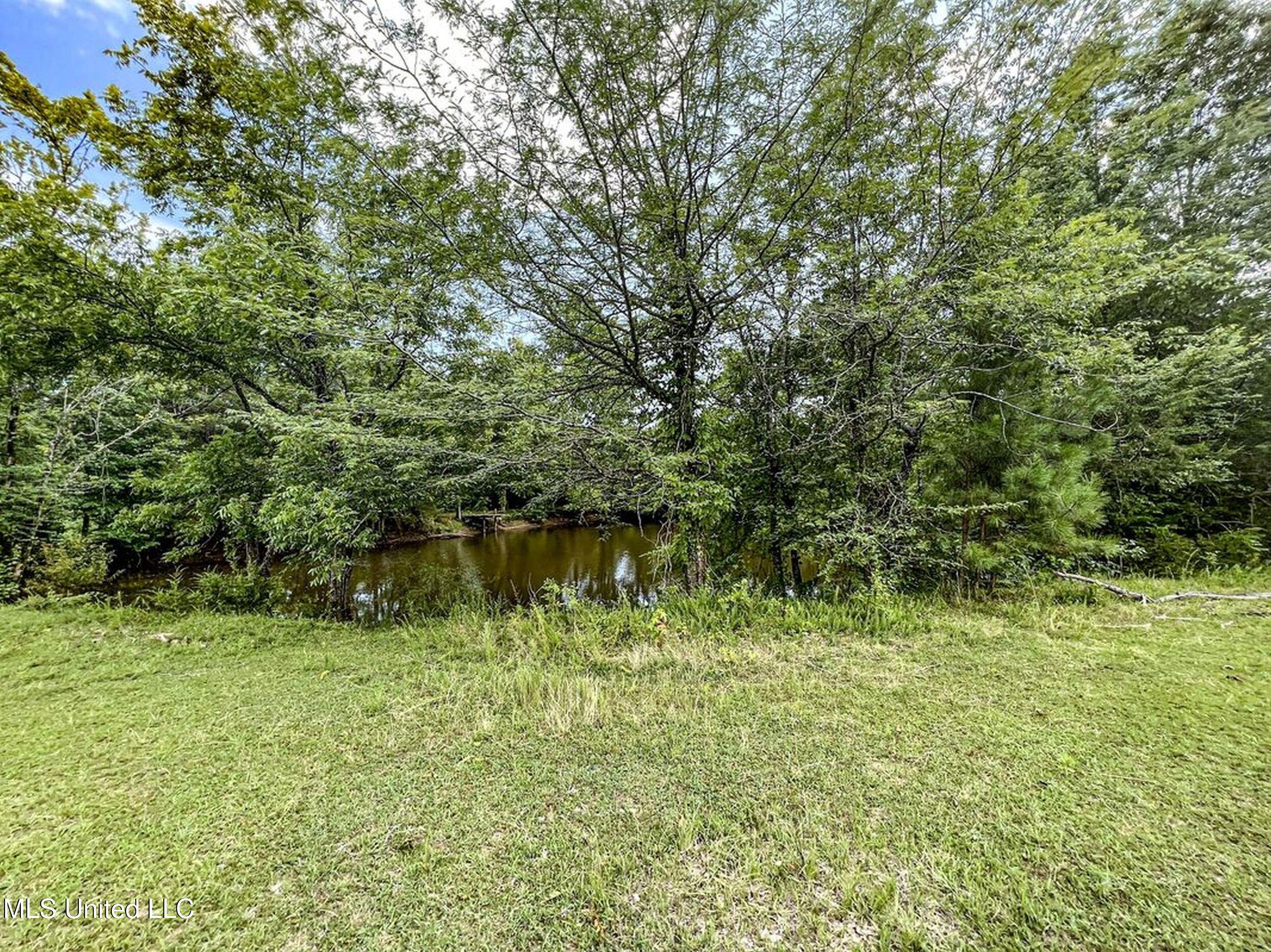 14912b 35 Highway Property Photo 54