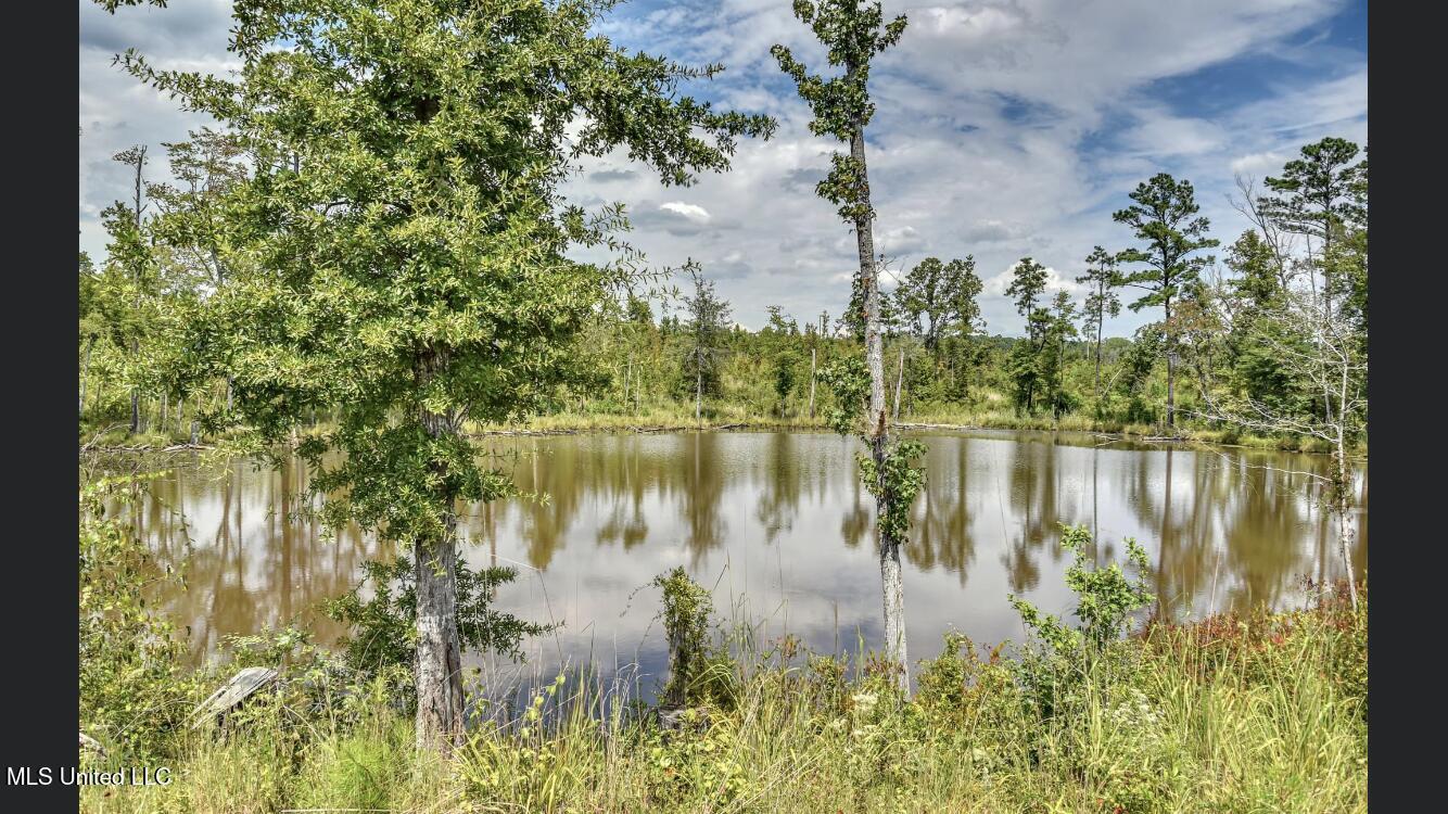 3438 Cr-3027 Property Photo 12