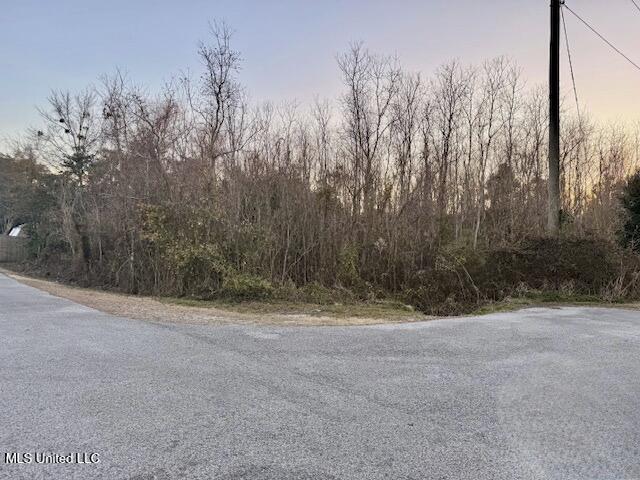 0 Mcdonnell Avenue Property Photo 2