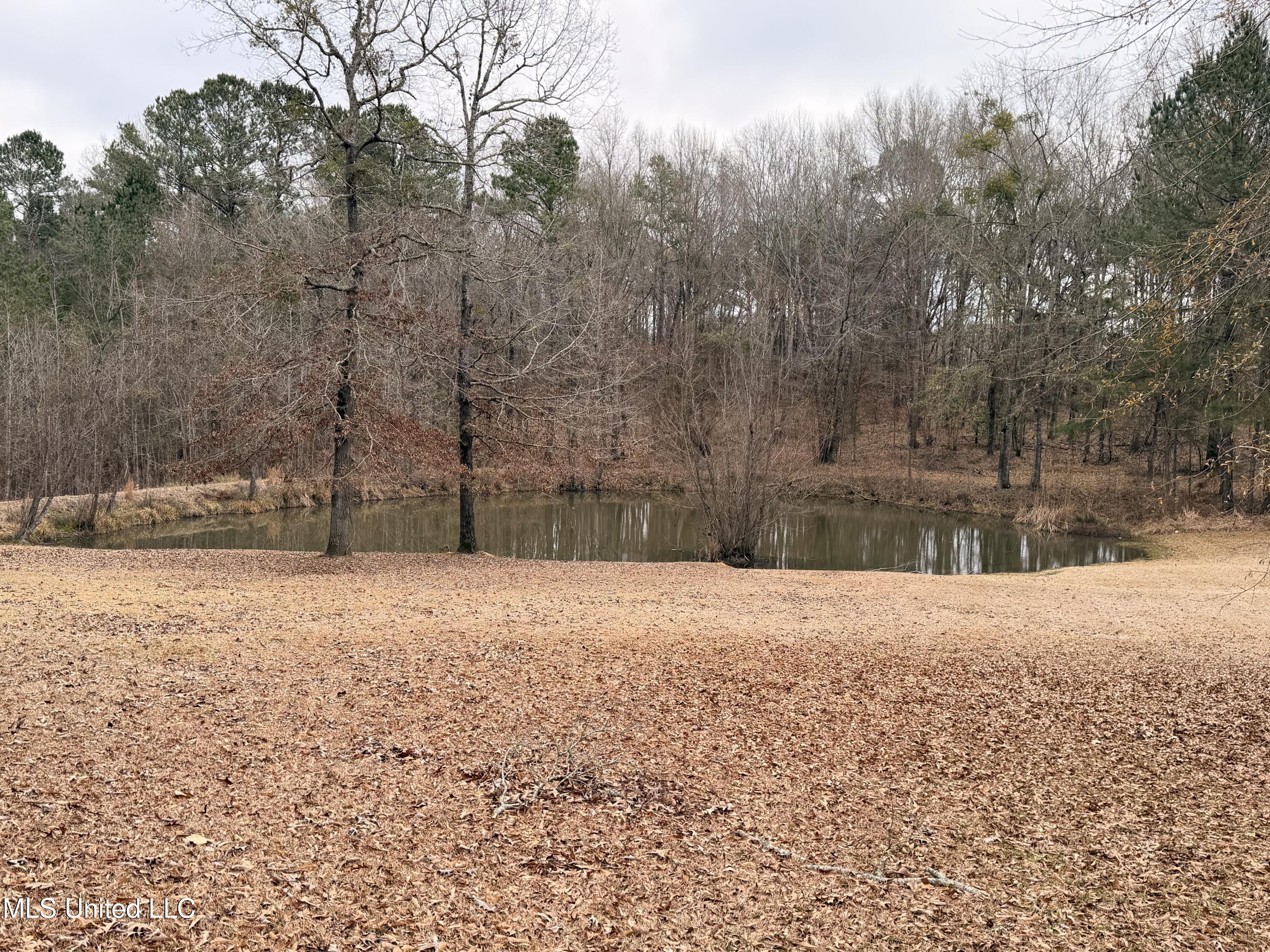 4204 Nw Highway 550 Property Photo 2