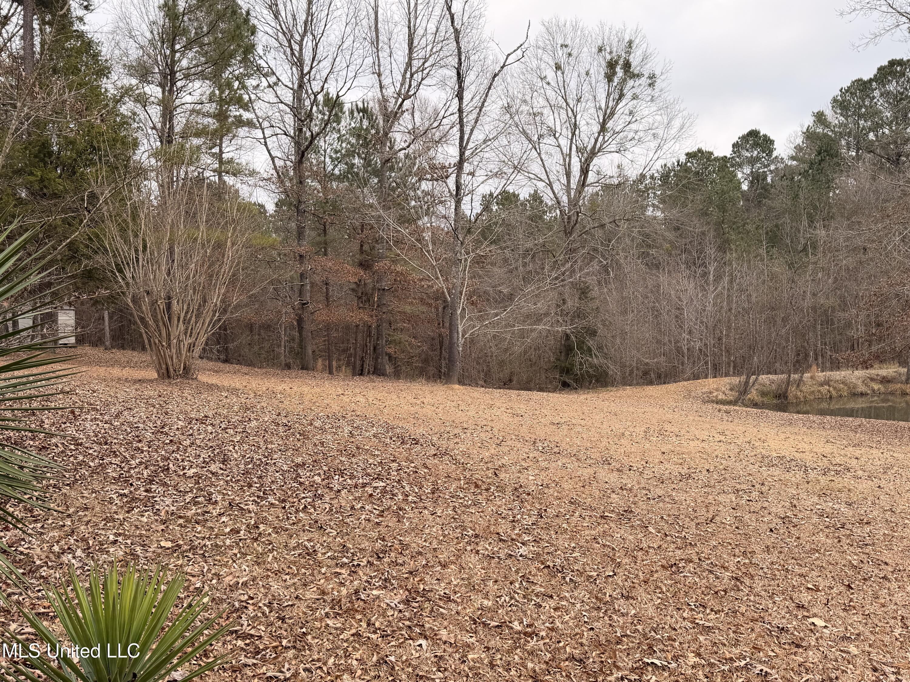 4204 Nw Highway 550 Property Photo 3