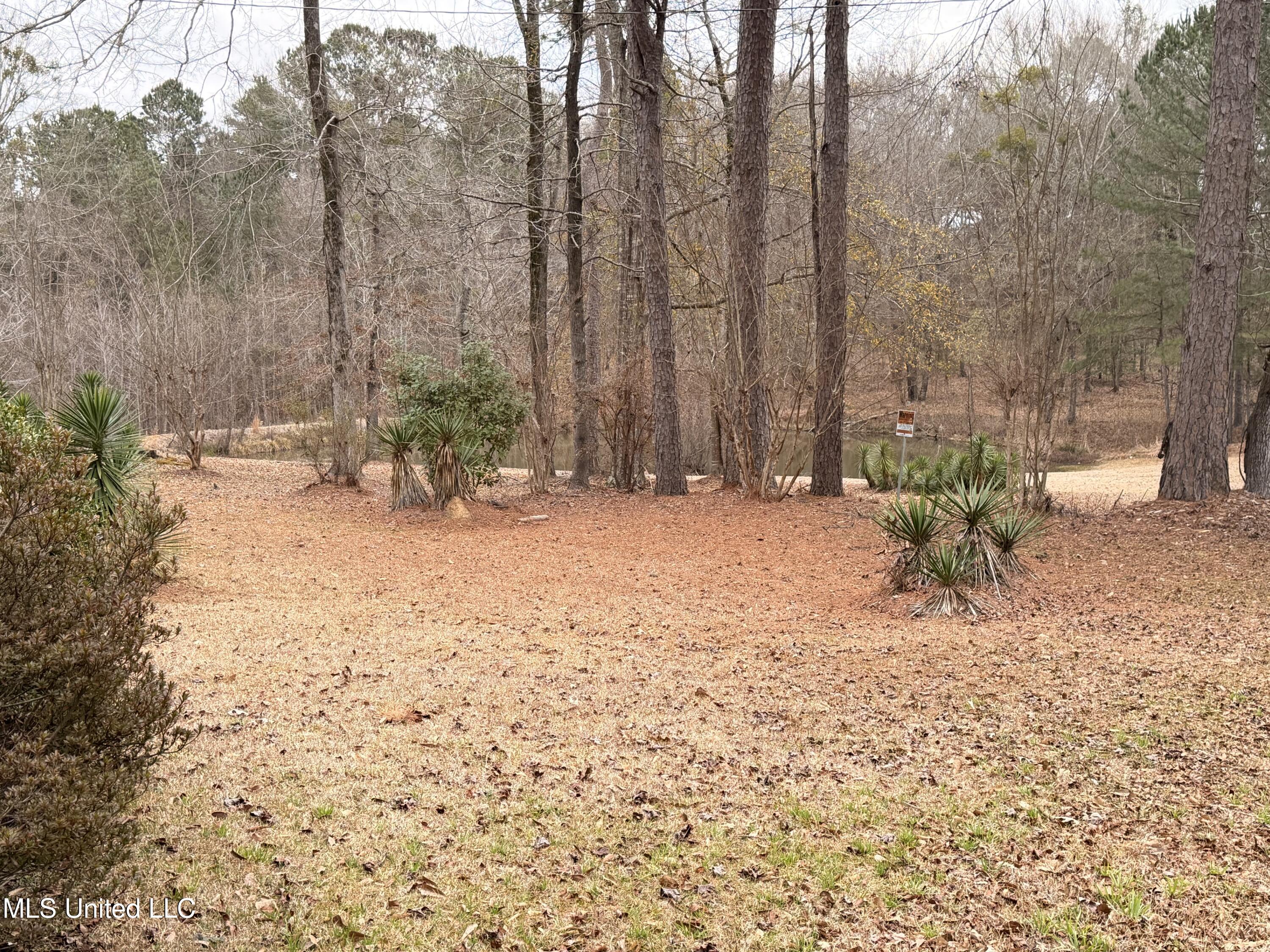4204 Nw Highway 550 Property Photo 5