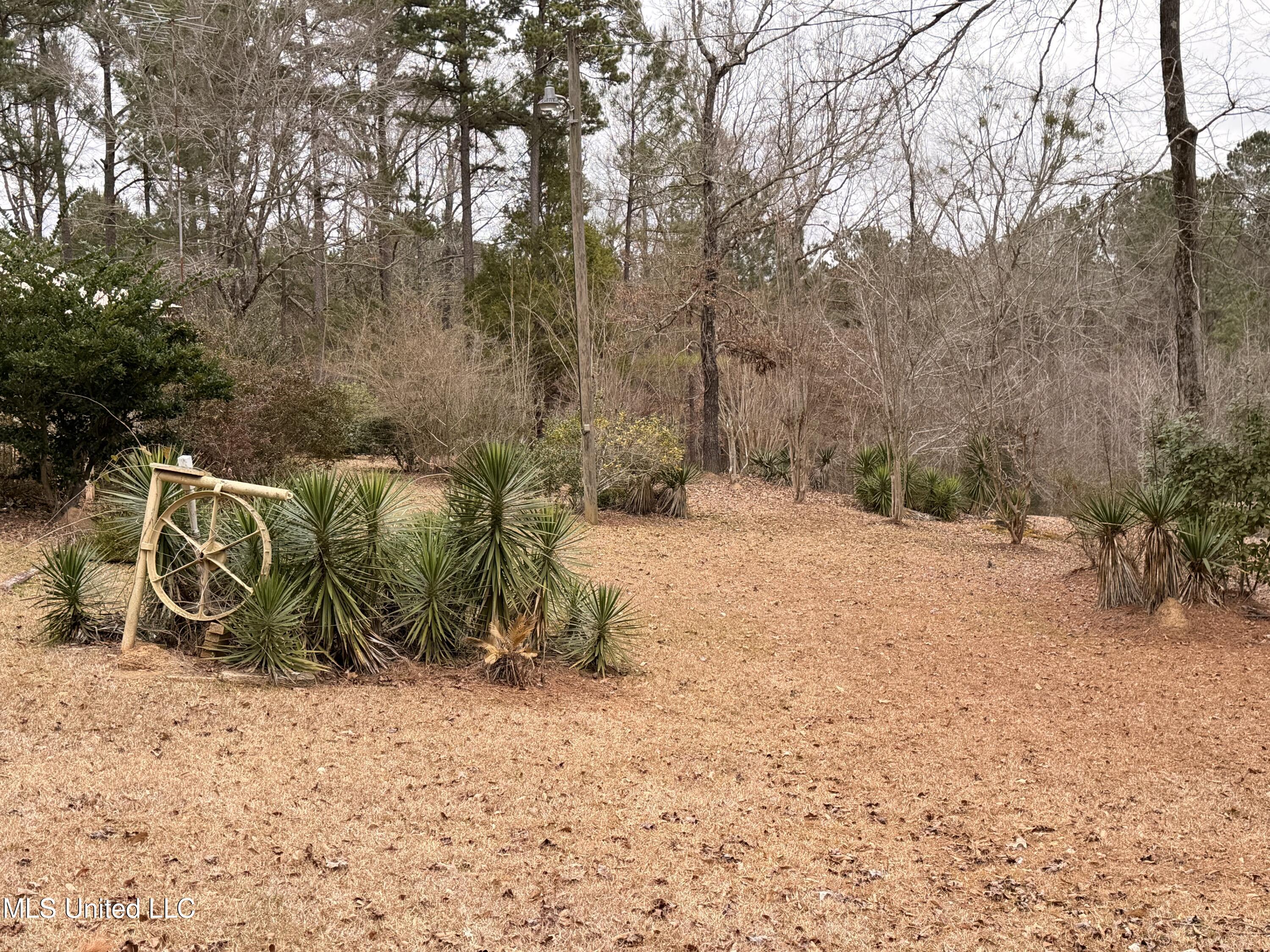 4204 Nw Highway 550 Property Photo 6