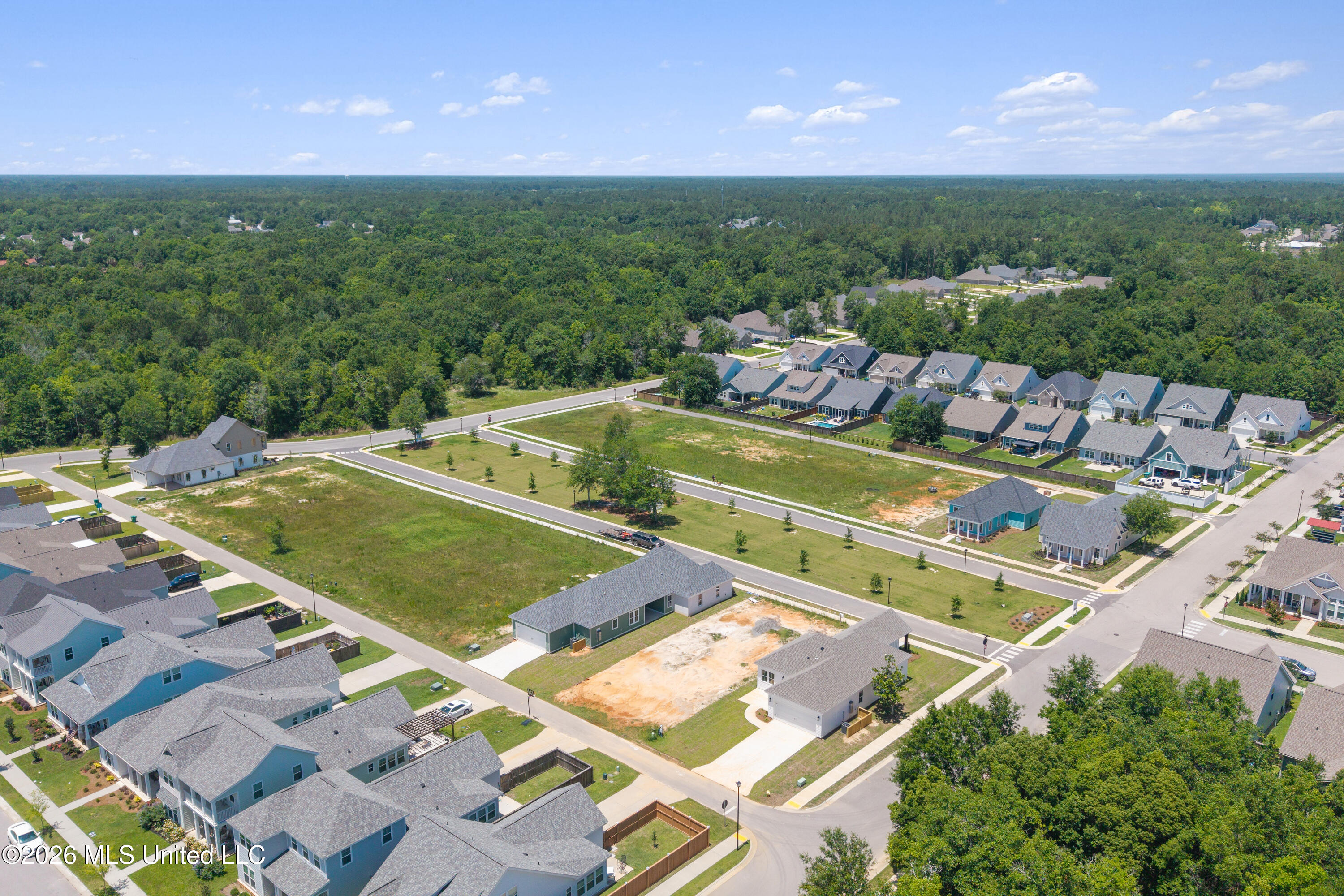 12237 Artisan Green Boulevard Property Photo 11