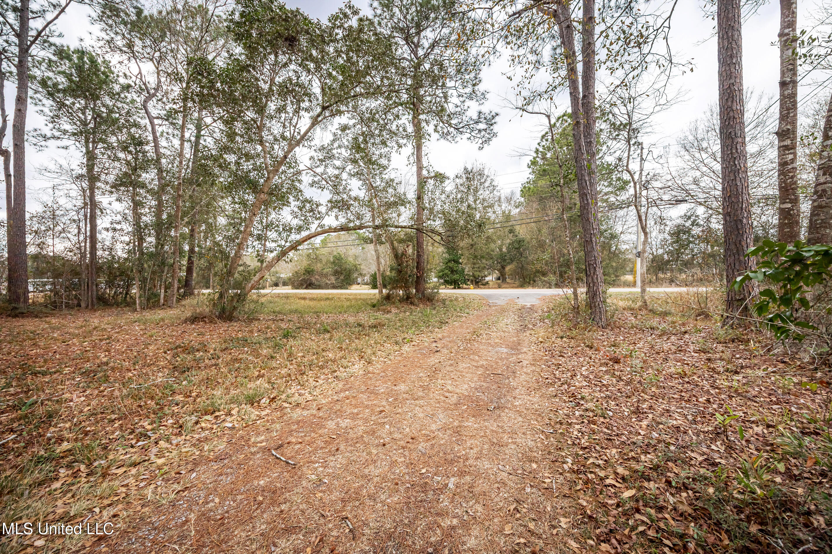 13162 Hudson Krohn Road Property Photo 7