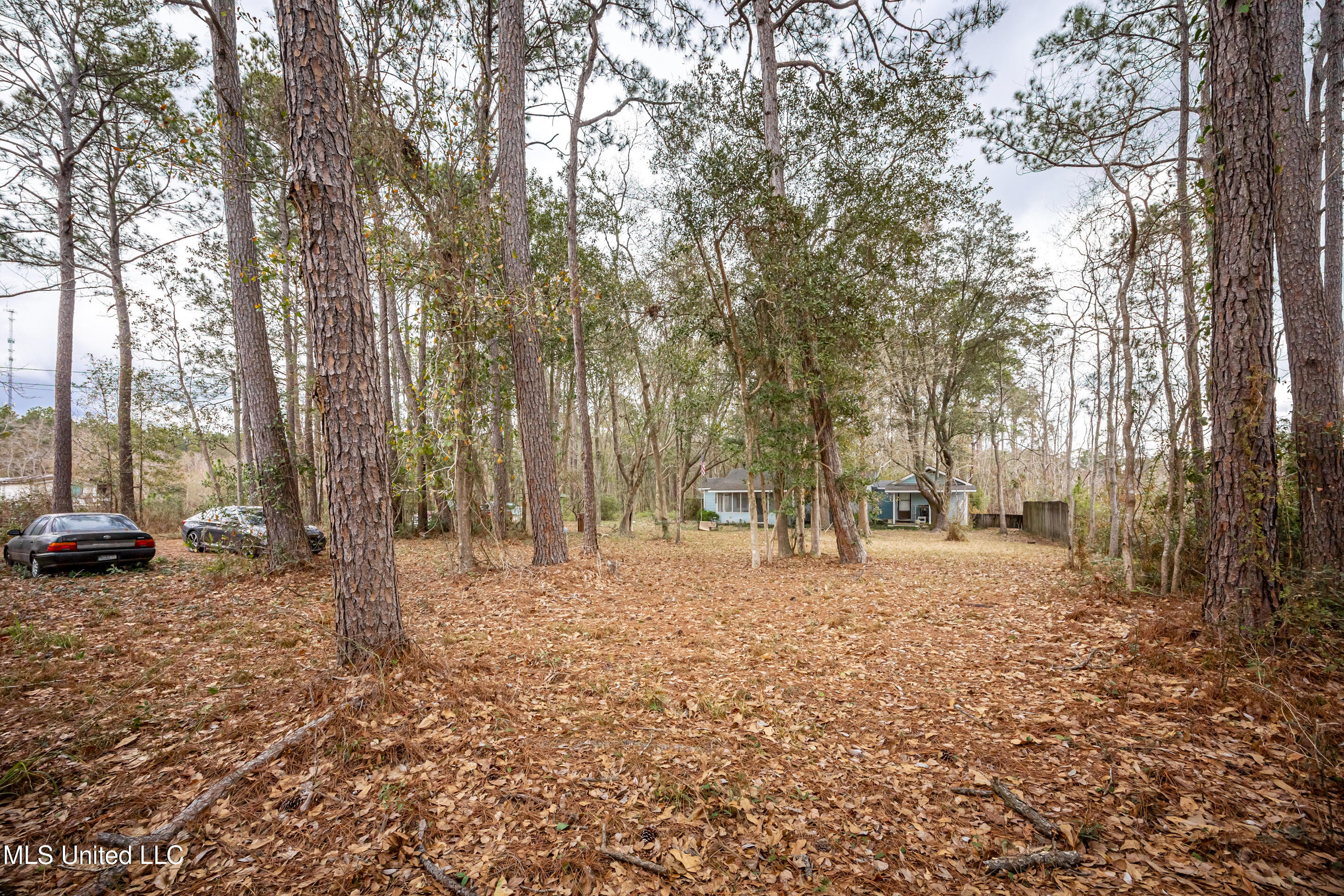 13162 Hudson Krohn Road Property Photo 9