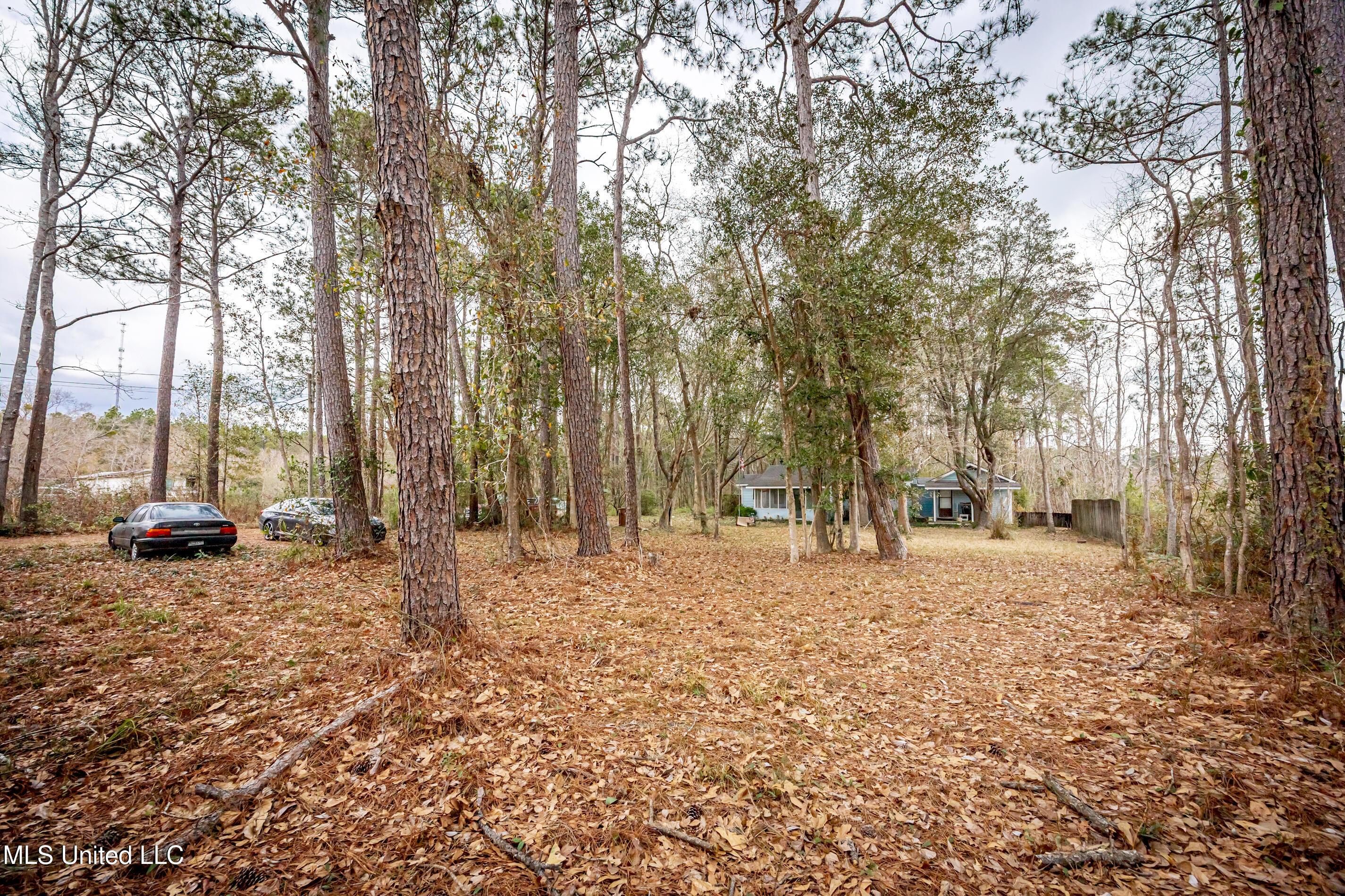 13162 Hudson Krohn Road Property Photo 10