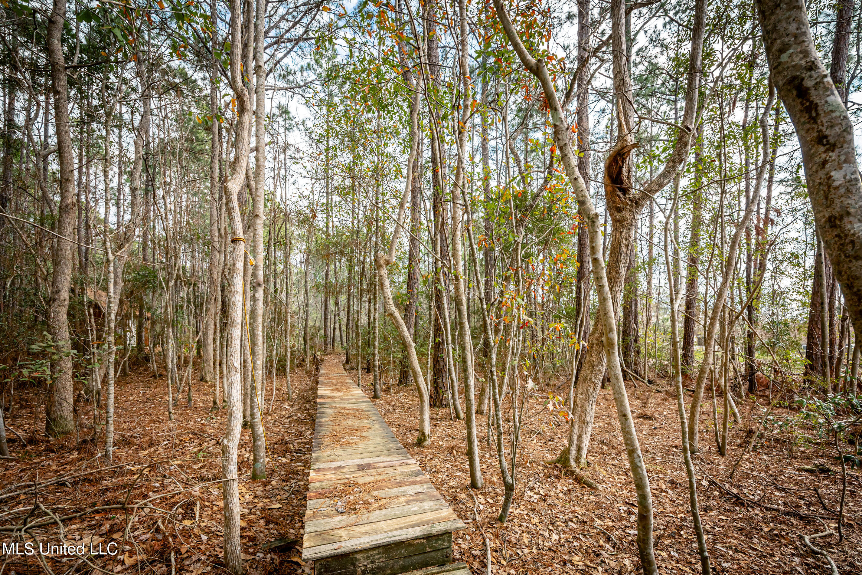 13162 Hudson Krohn Road Property Photo 44