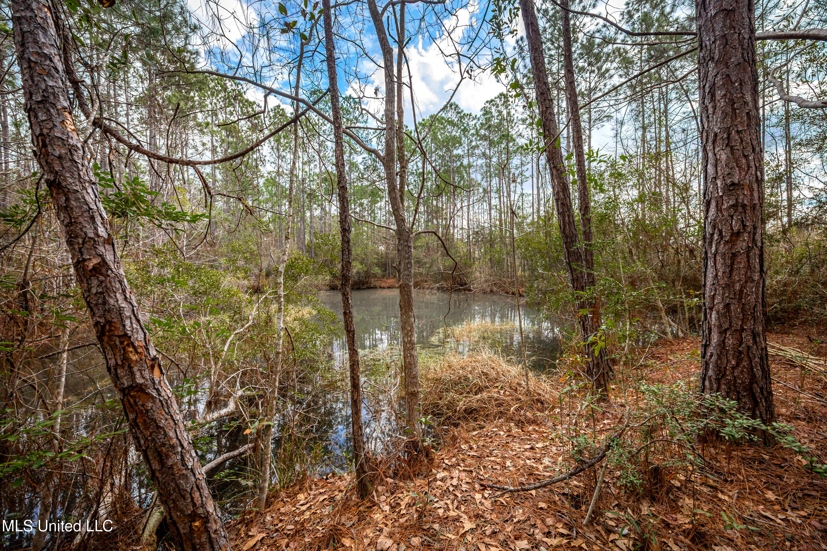 13162 Hudson Krohn Road Property Photo 45