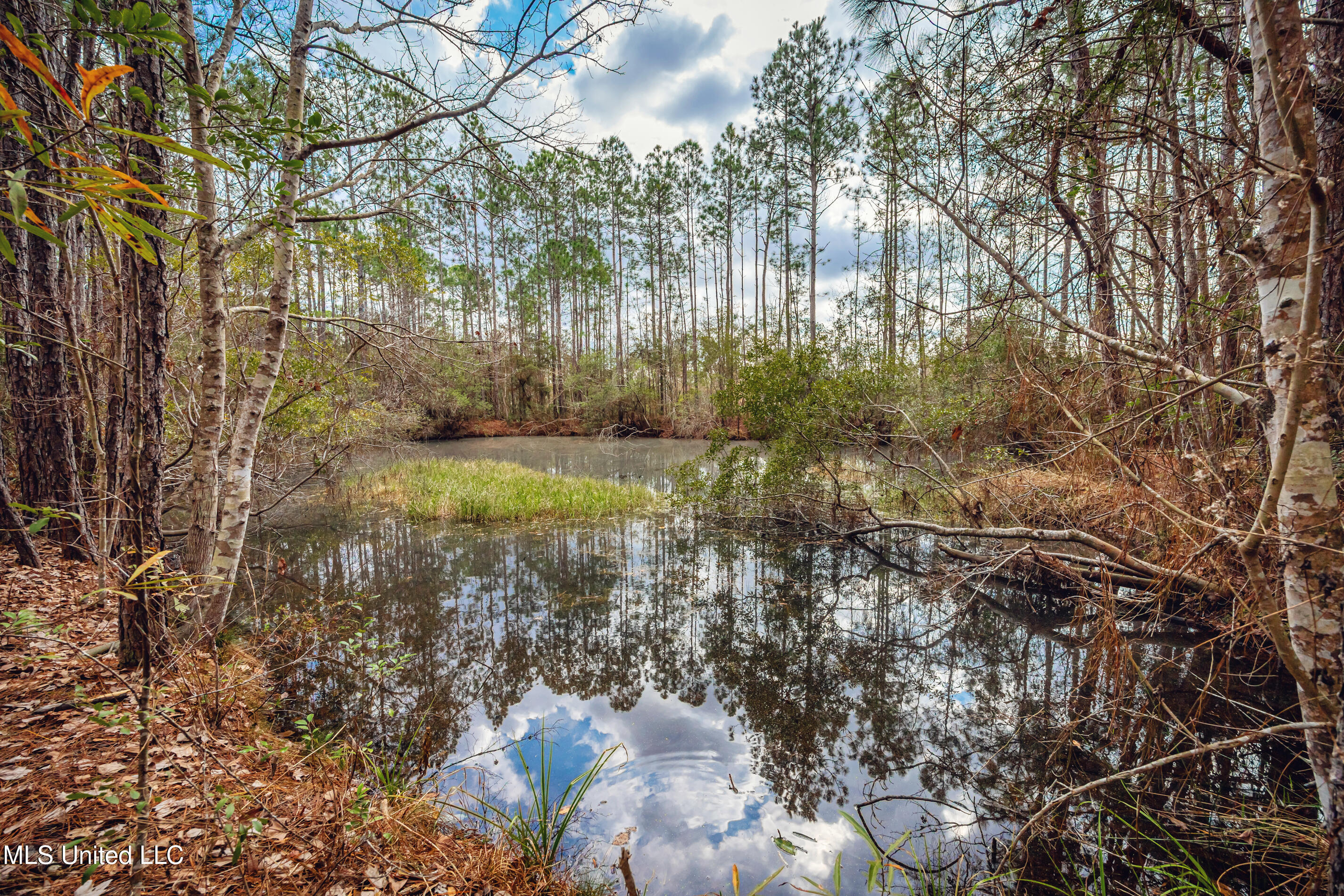 13162 Hudson Krohn Road Property Photo 46