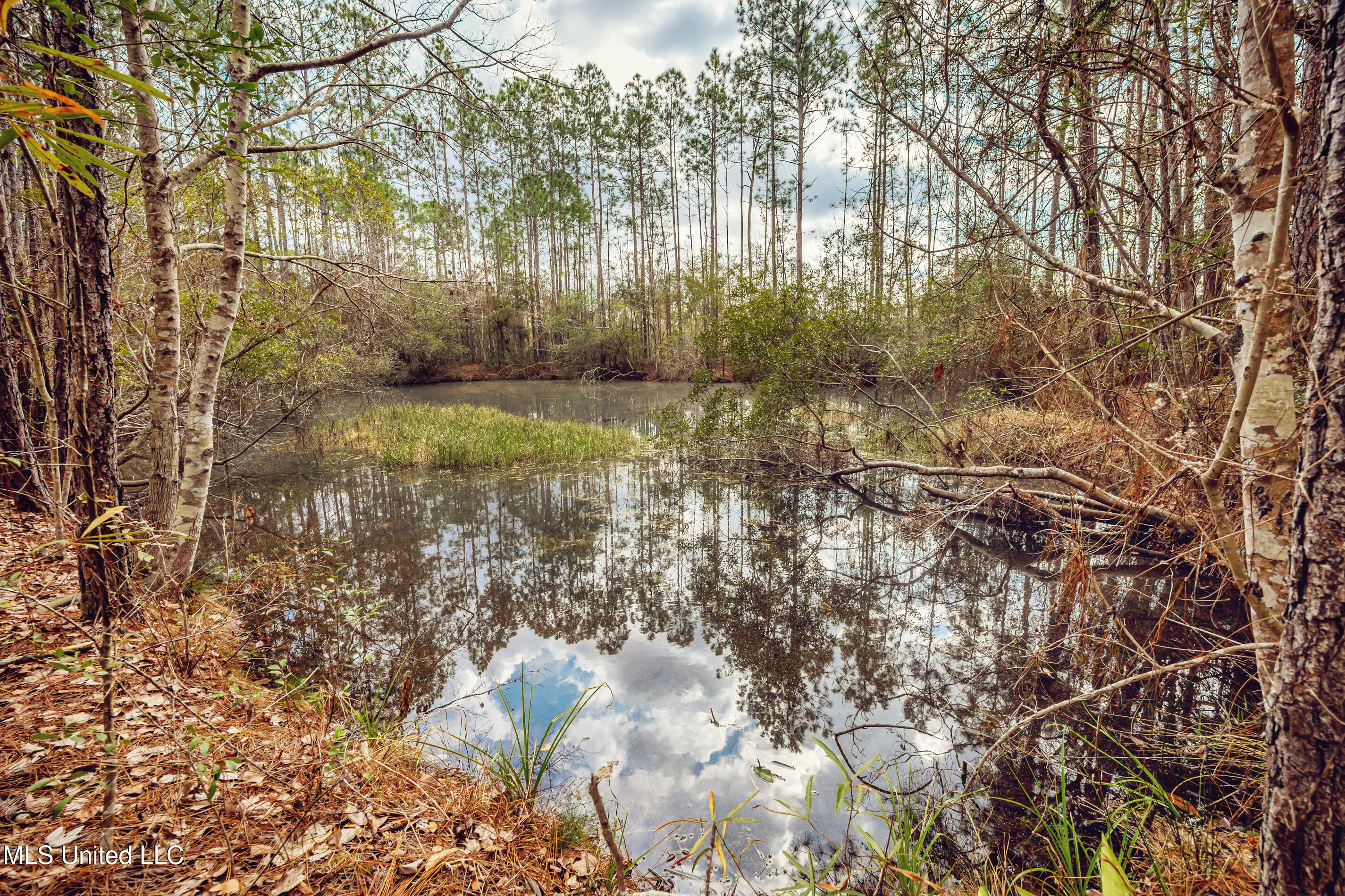 13162 Hudson Krohn Road Property Photo 47